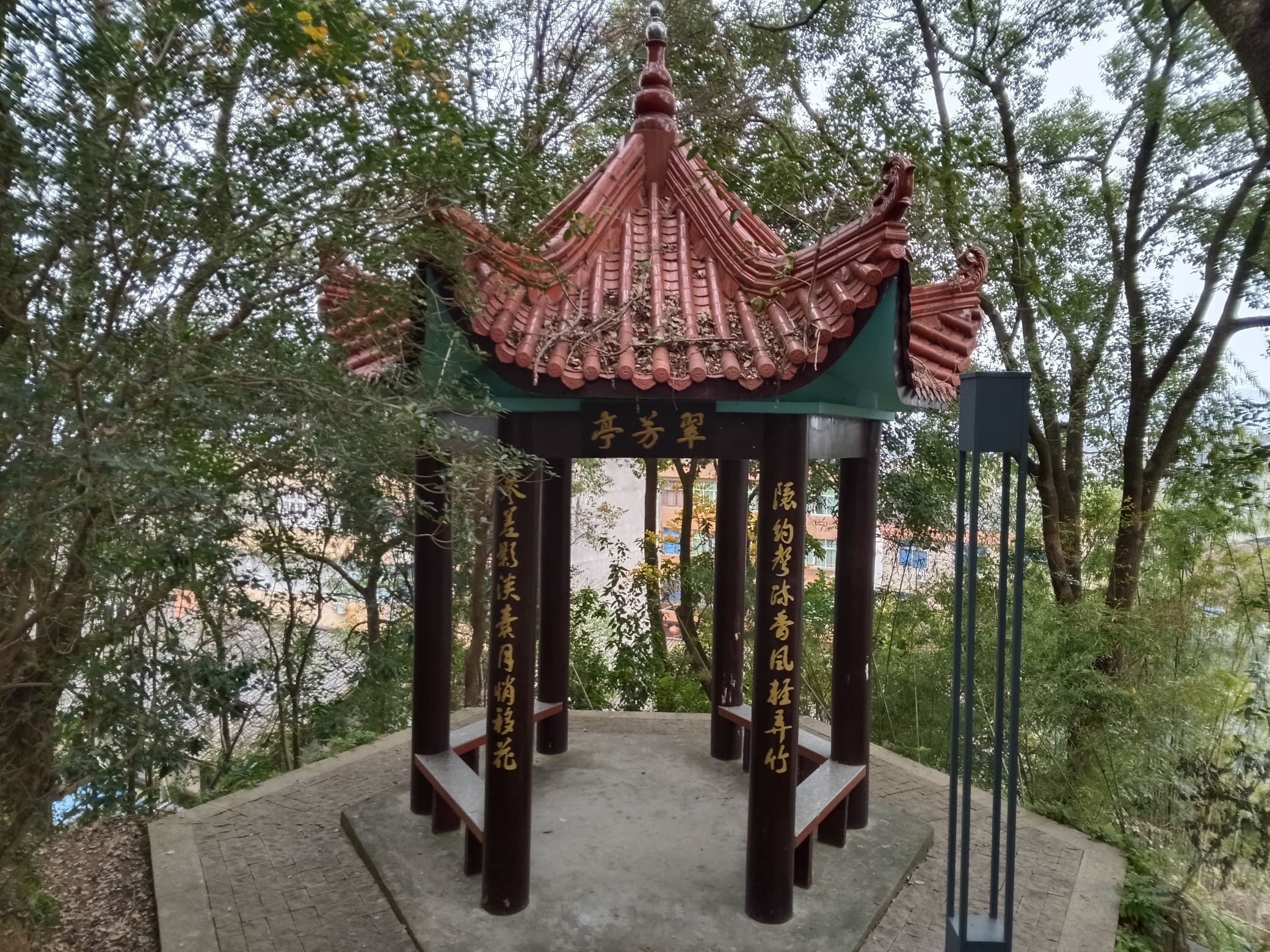 龟山公园旅行图片 3