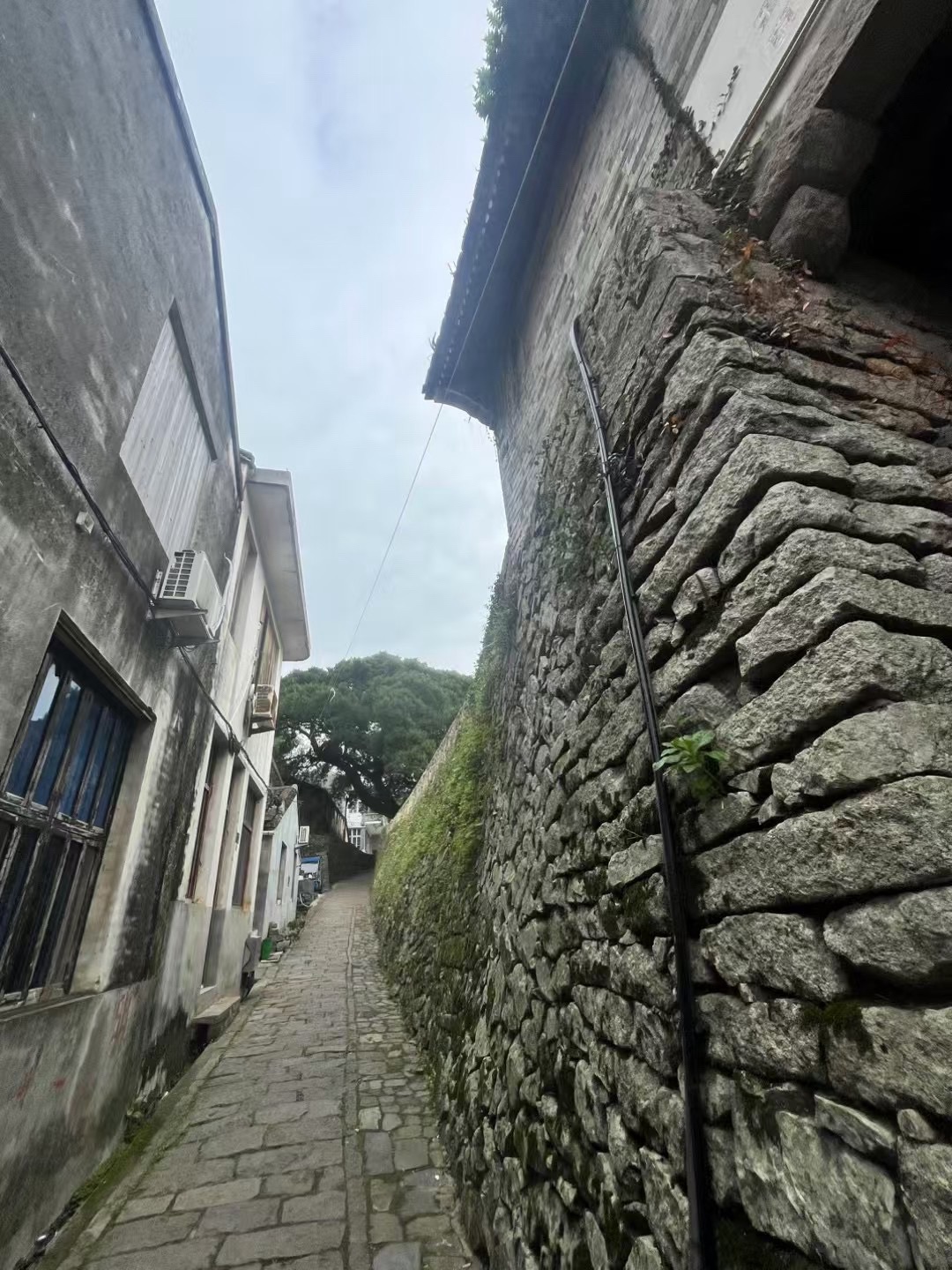 蒲壮所城旅行图片 2