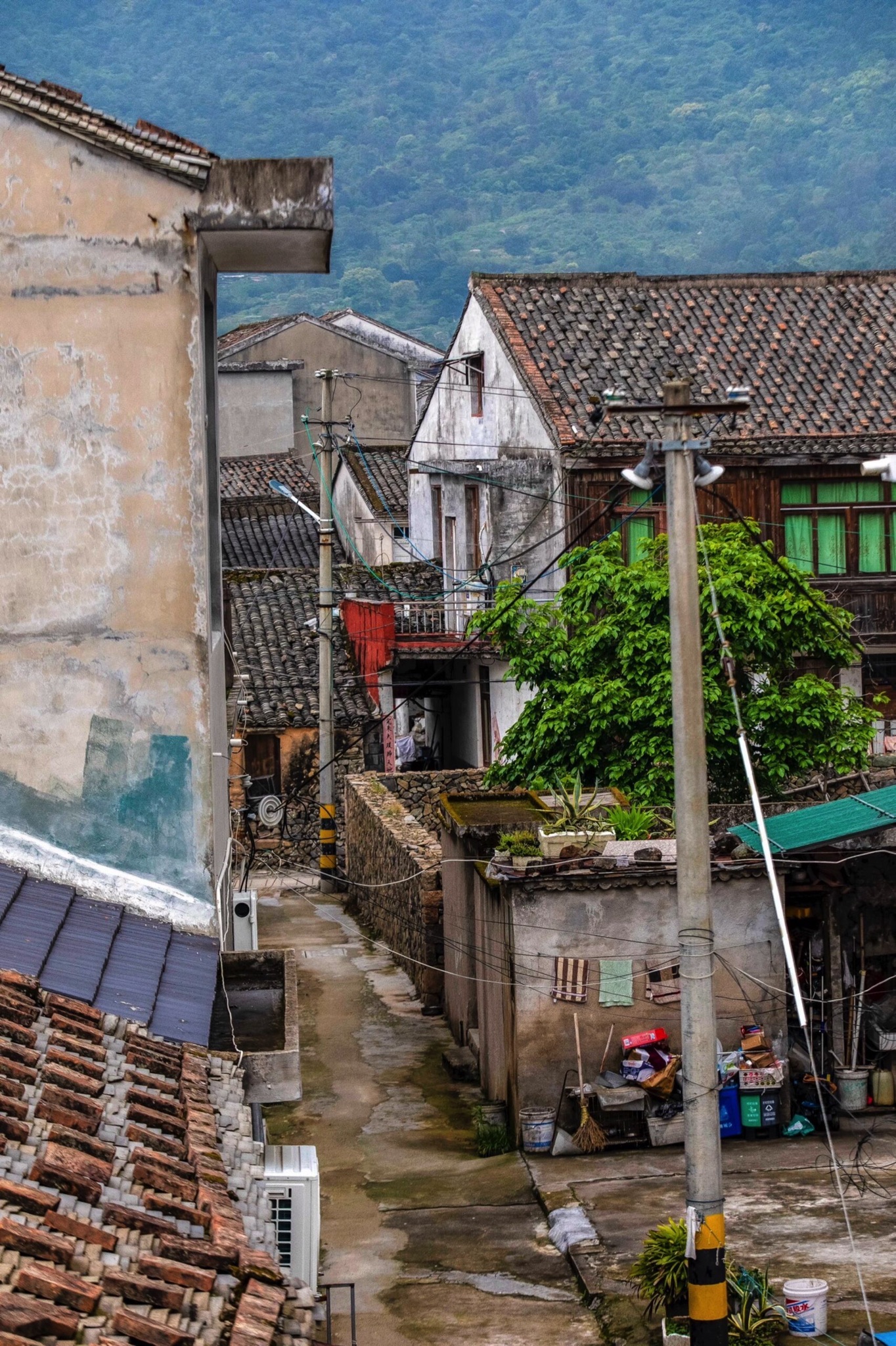 蒲壮所城旅行图片 1