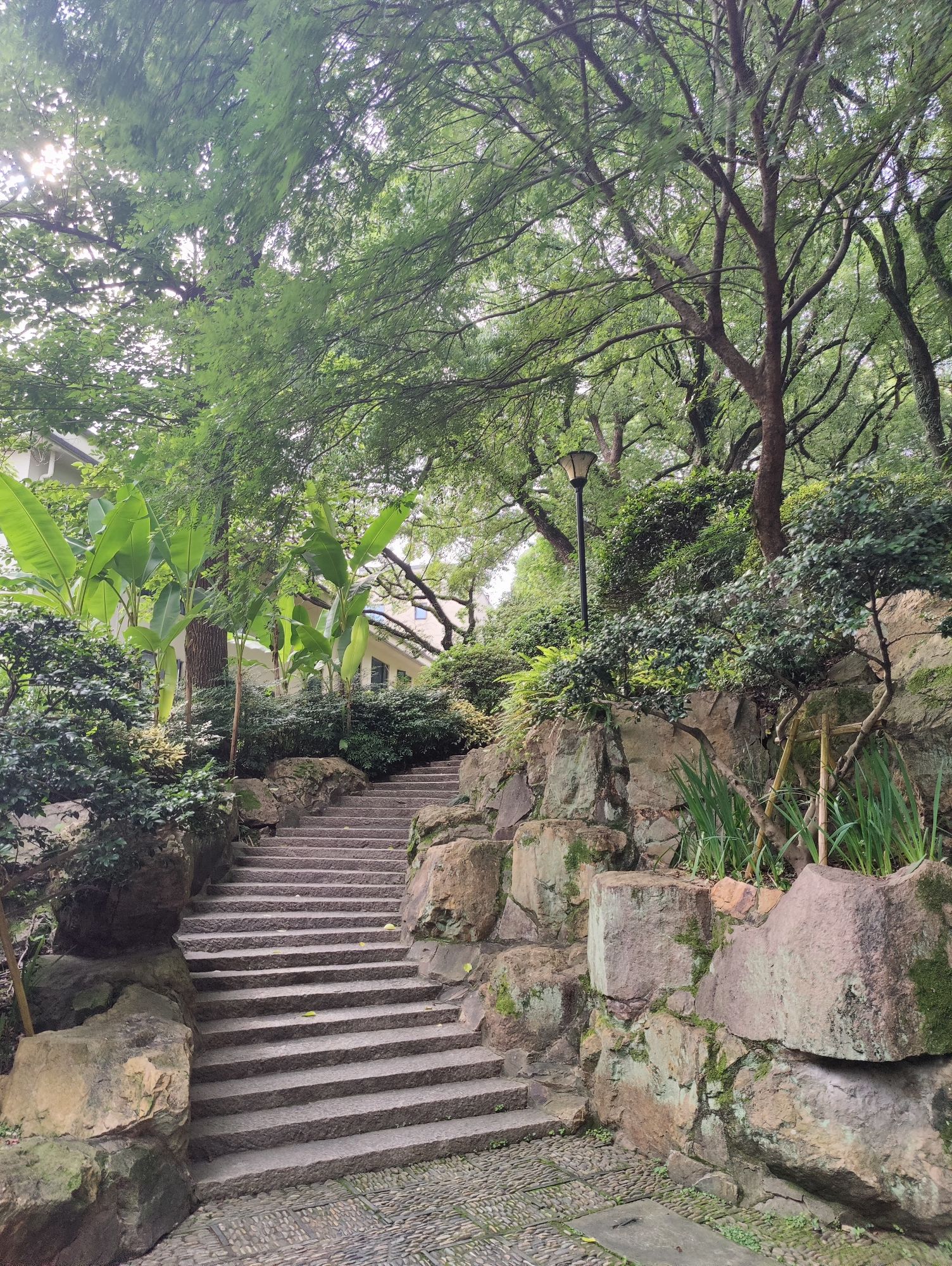 茶花园旅行图片 3