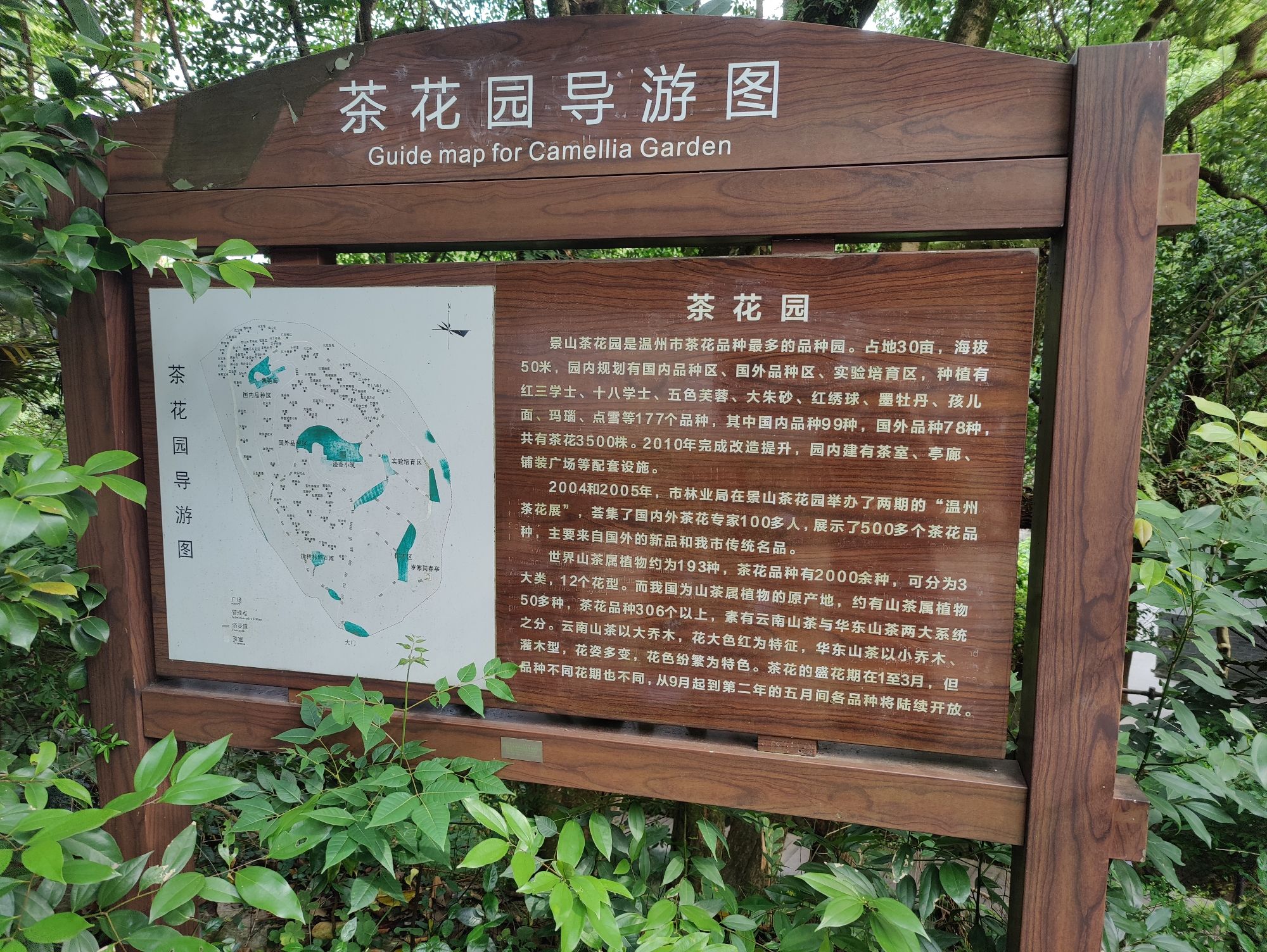 茶花园旅行图片 2