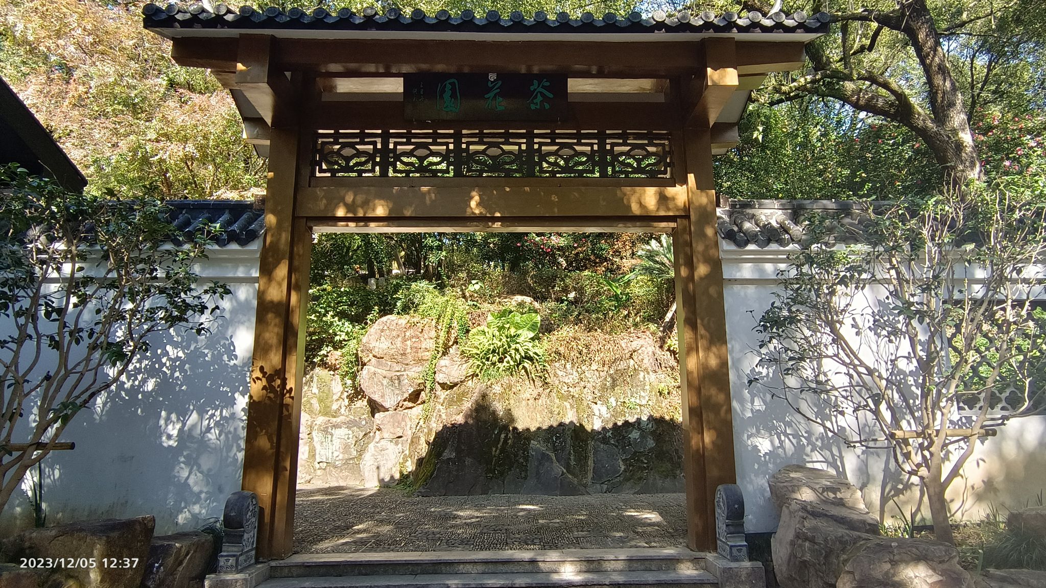 茶花园旅行图片 1