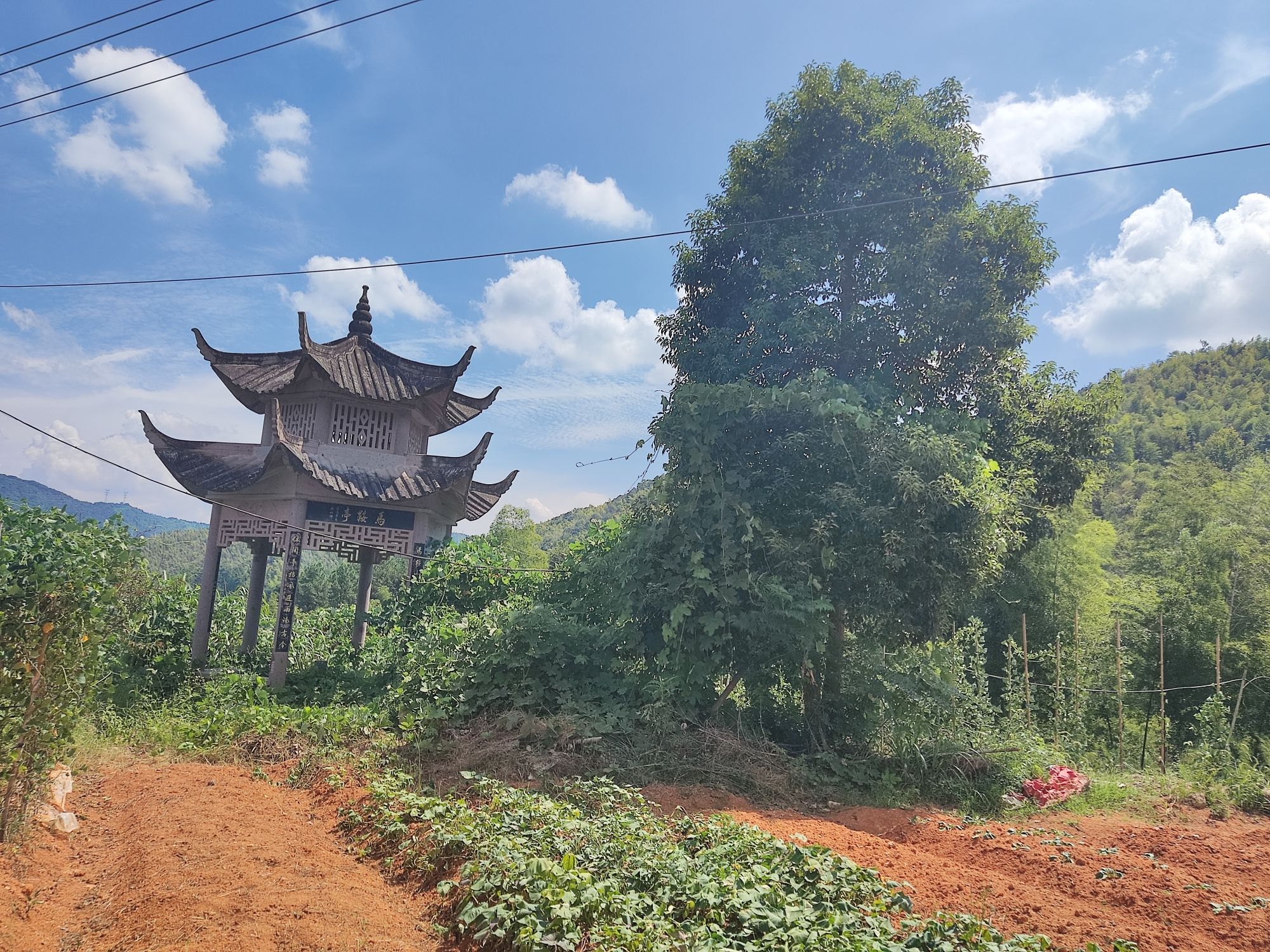 马鞍山公园旅行图片 3