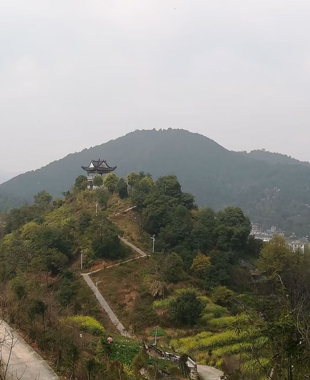 塘下公园旅行图片 2