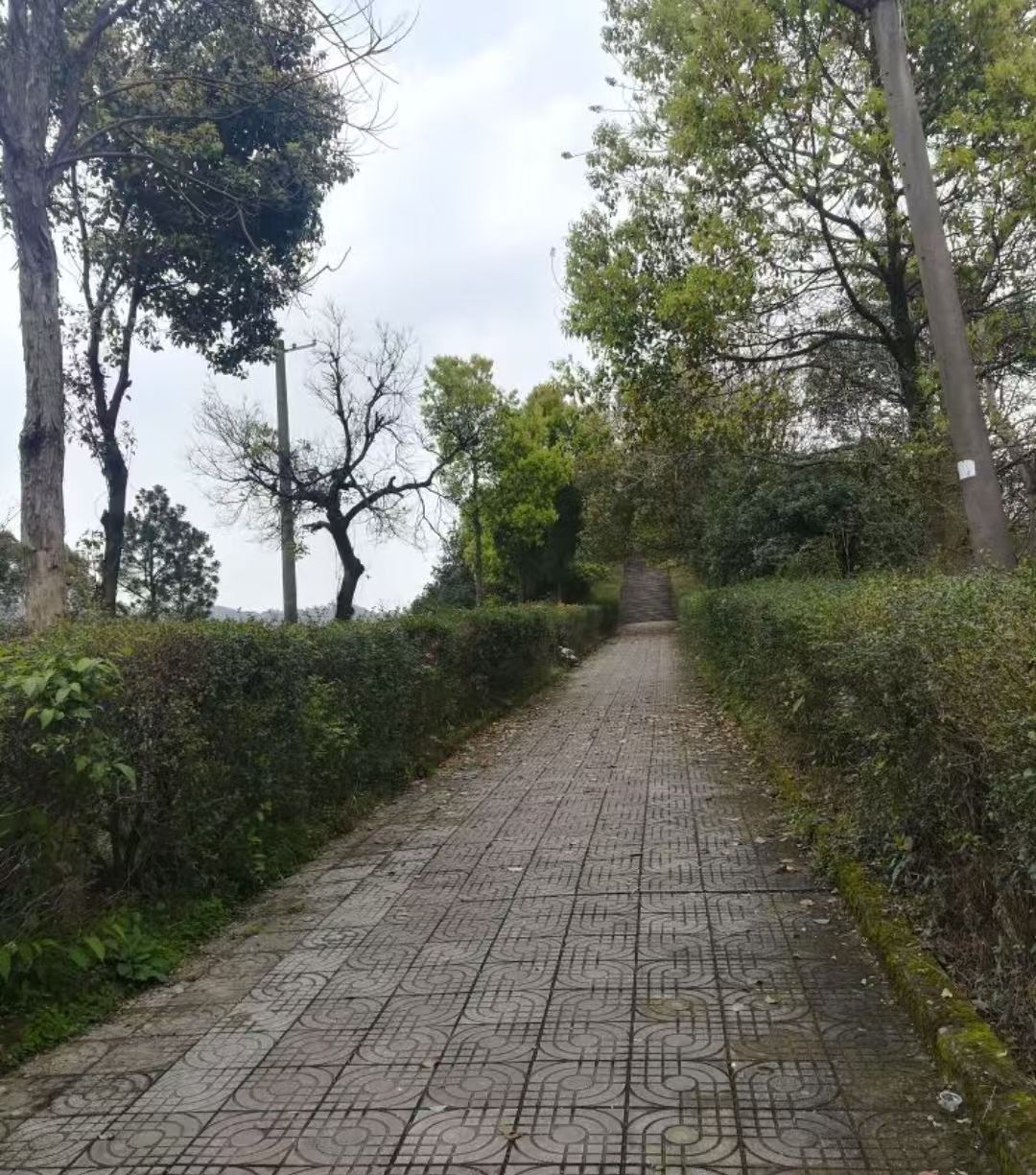 塘下公园旅行图片 3