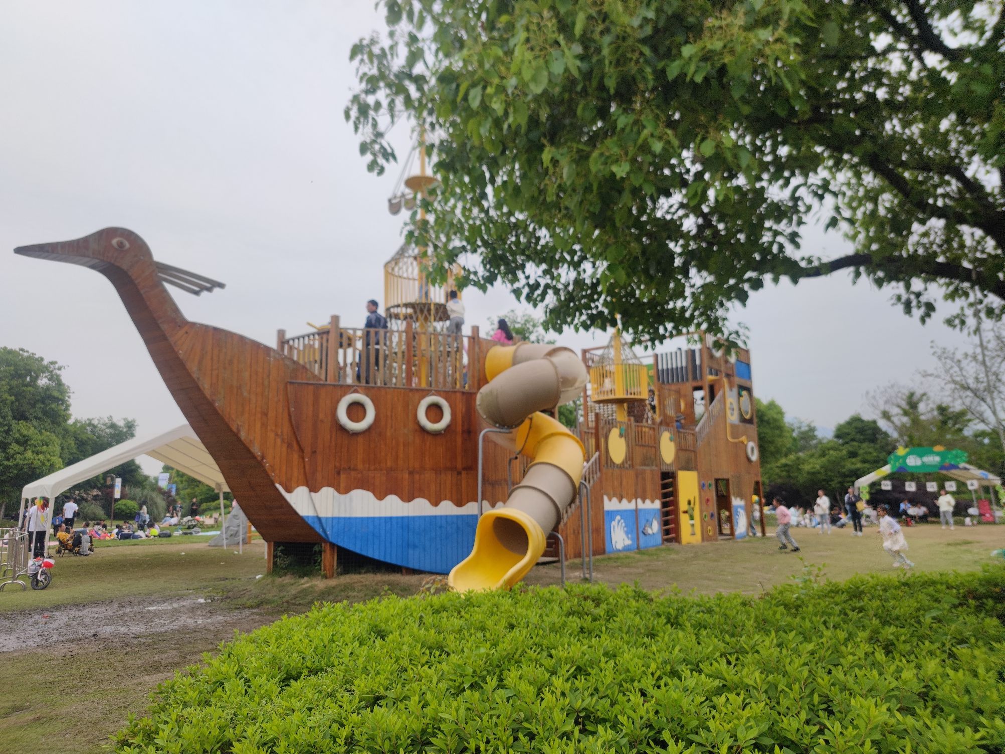 三垟湿地保护区旅行图片 2