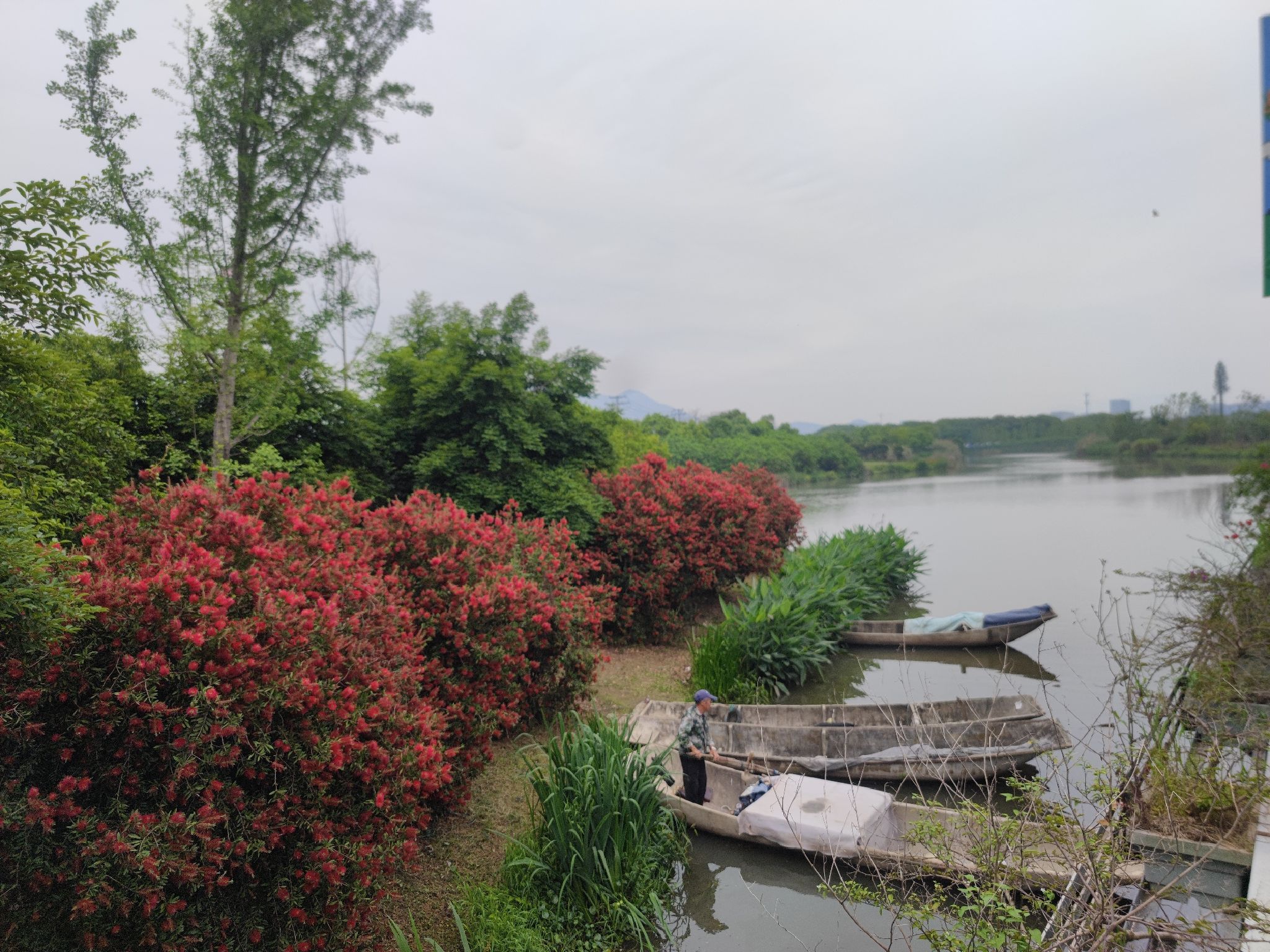 三垟湿地保护区旅行图片 1