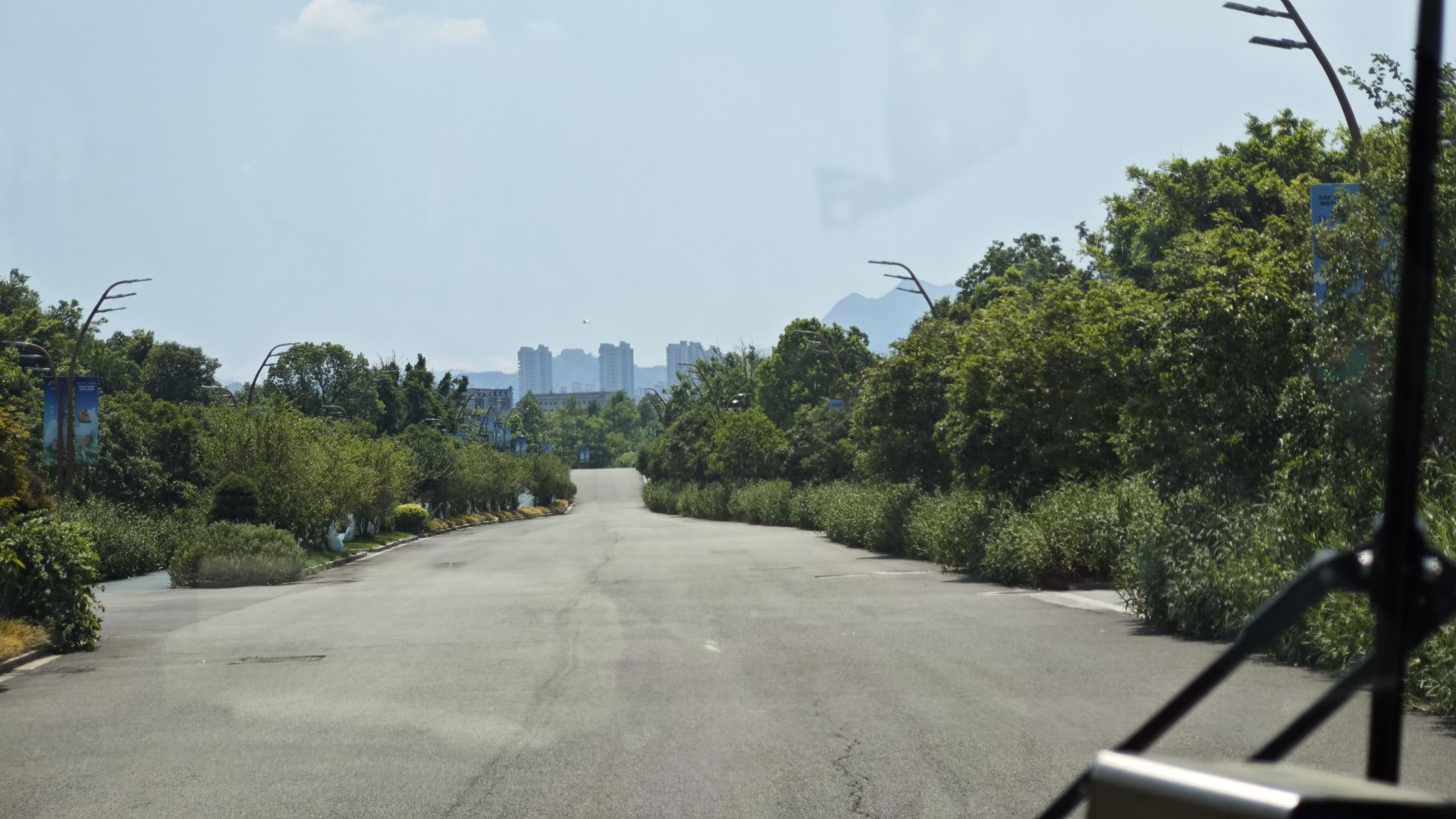 三垟湿地保护区旅行图片 2