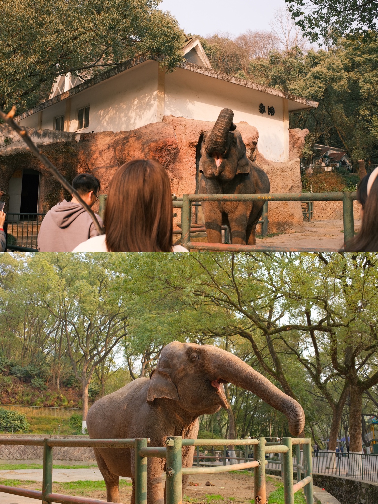 景山公园-樱花园旅行图片 3