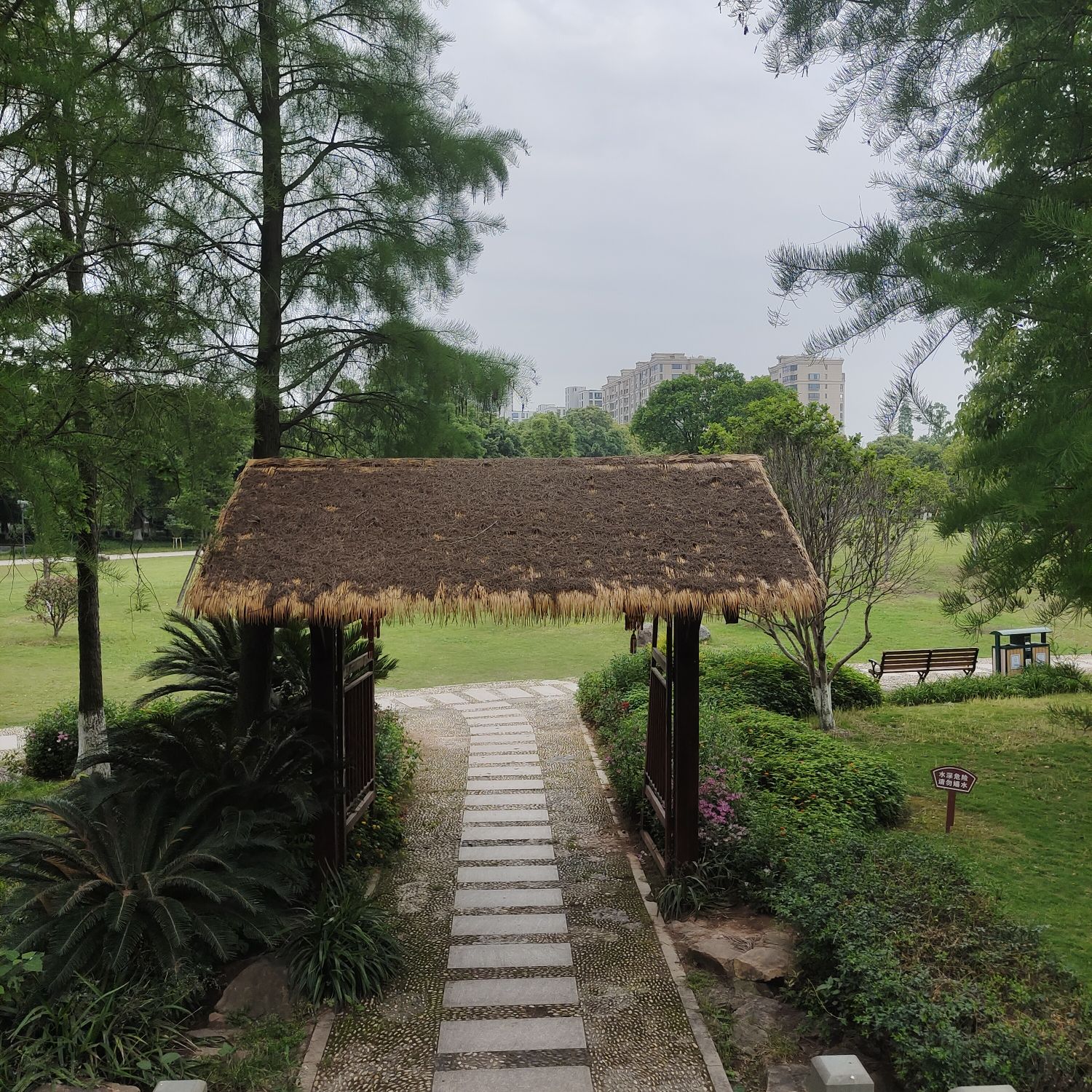 河泥荡文化公园旅行图片 3