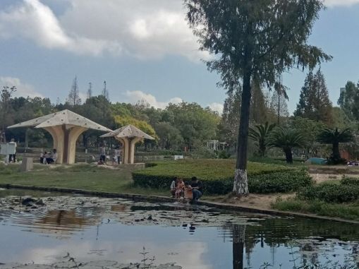 河泥荡文化公园旅行图片 1