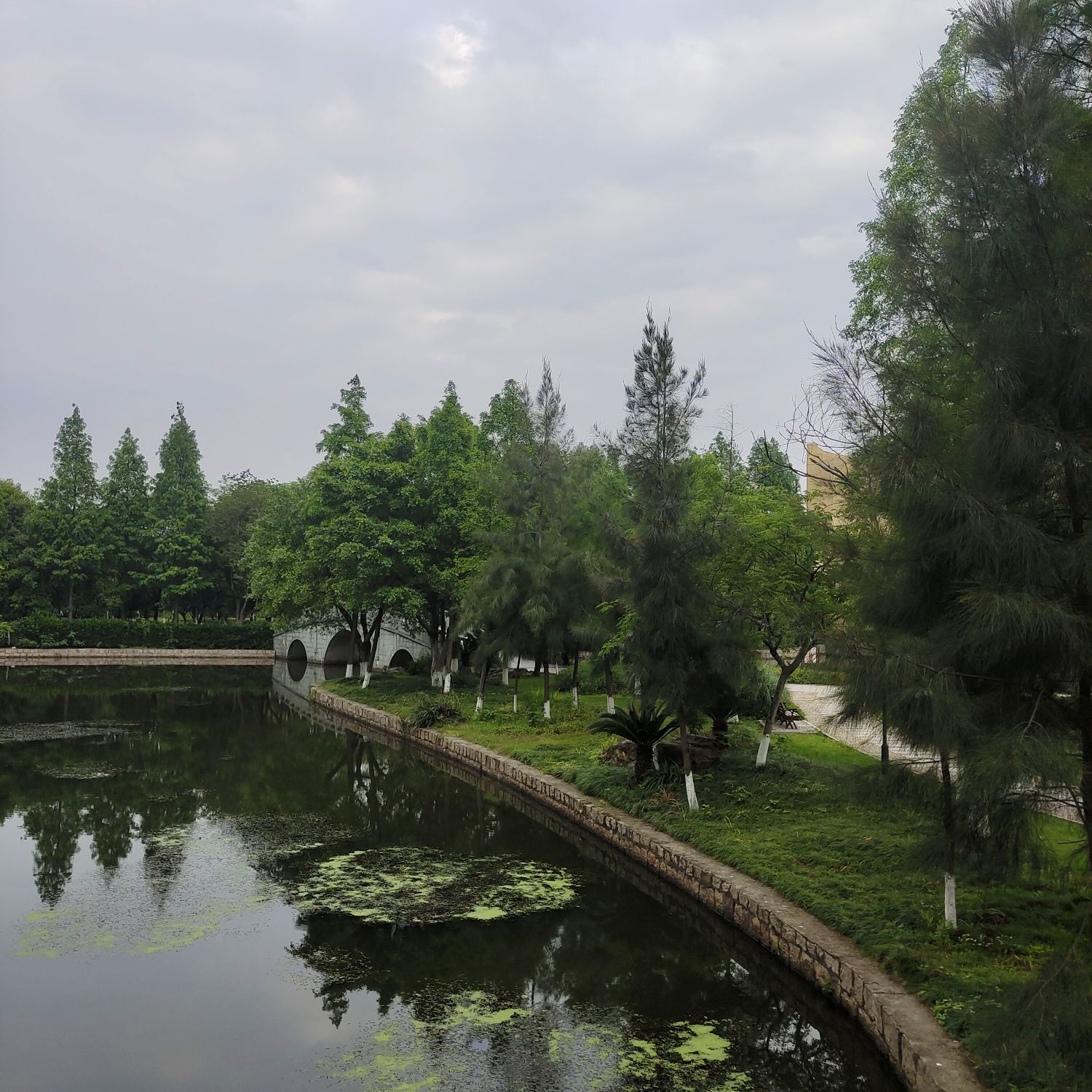 河泥荡文化公园旅行图片 2