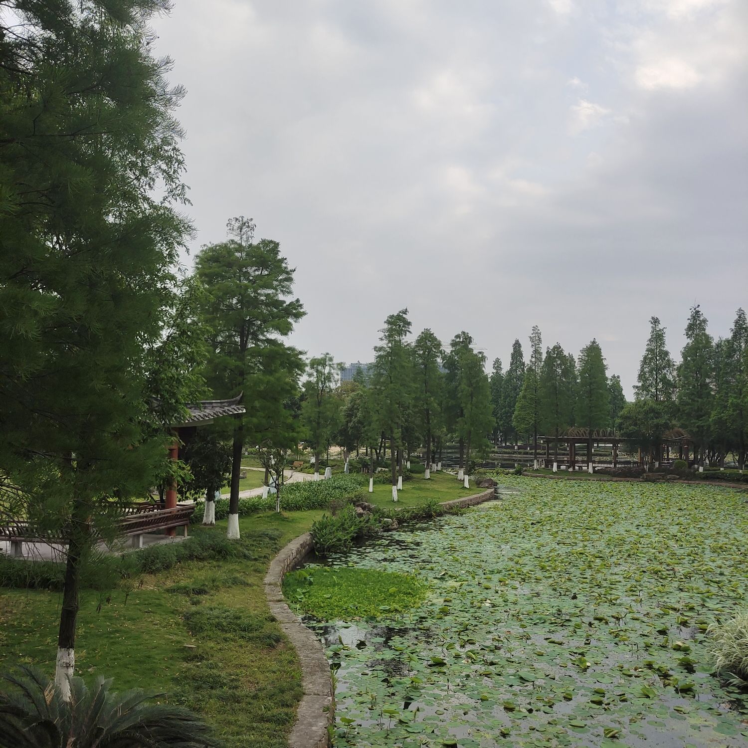河泥荡文化公园旅行图片 1