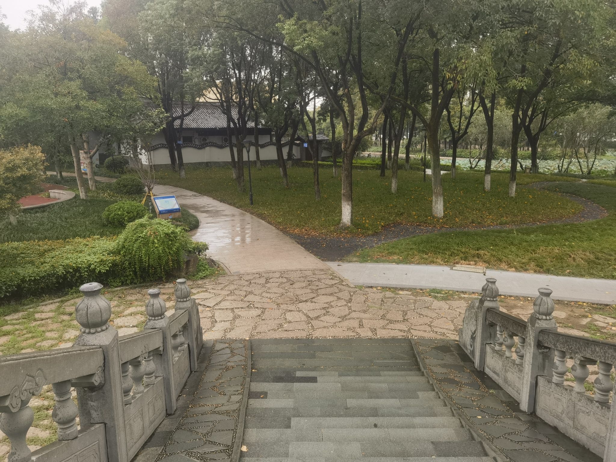 河泥荡文化公园旅行图片 3