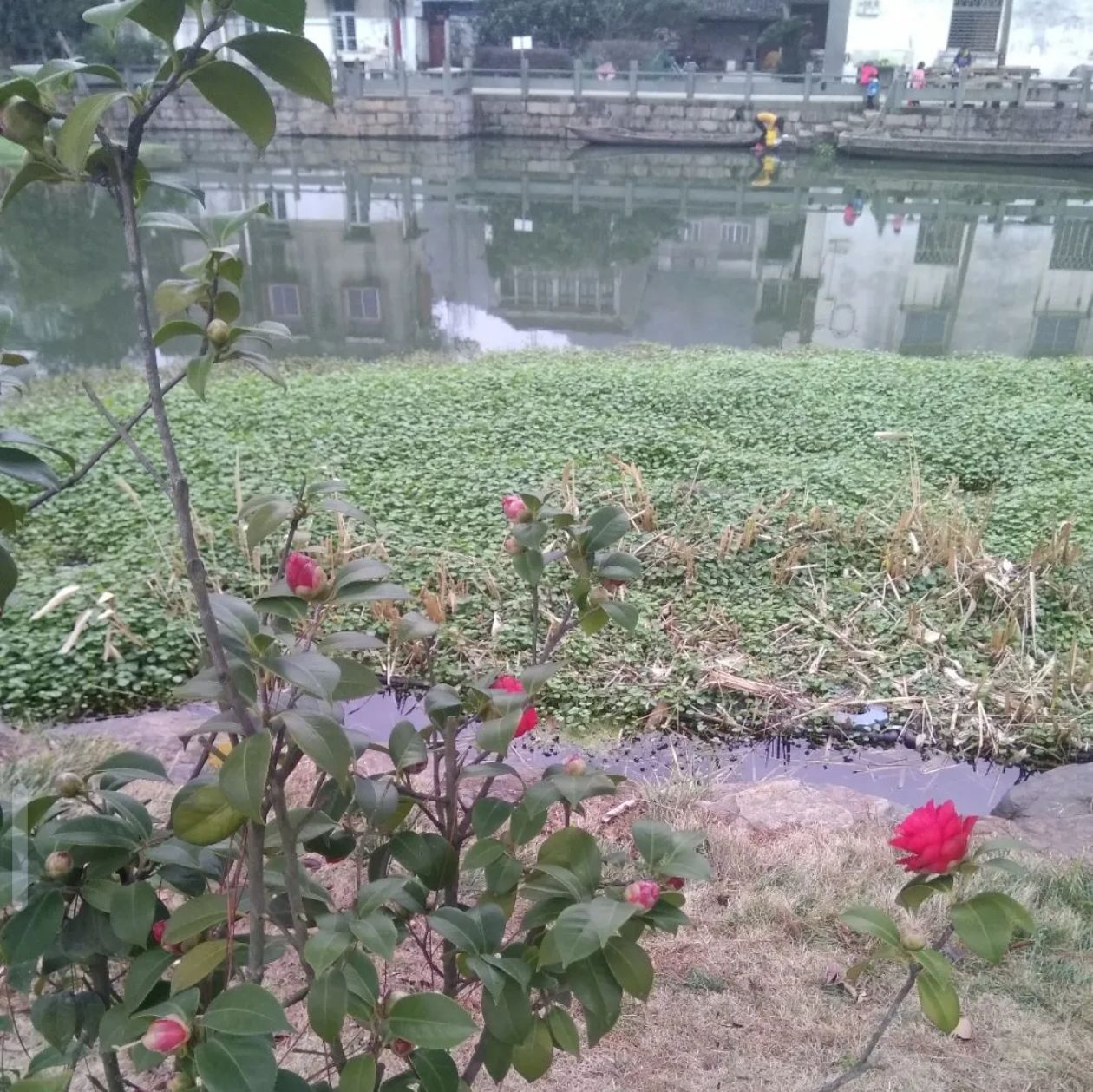 状元公园(兴元路)旅行图片 1