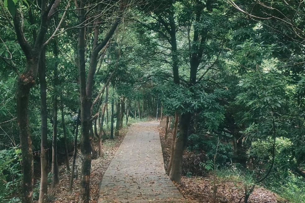温州市牛山公园旅行图片 1