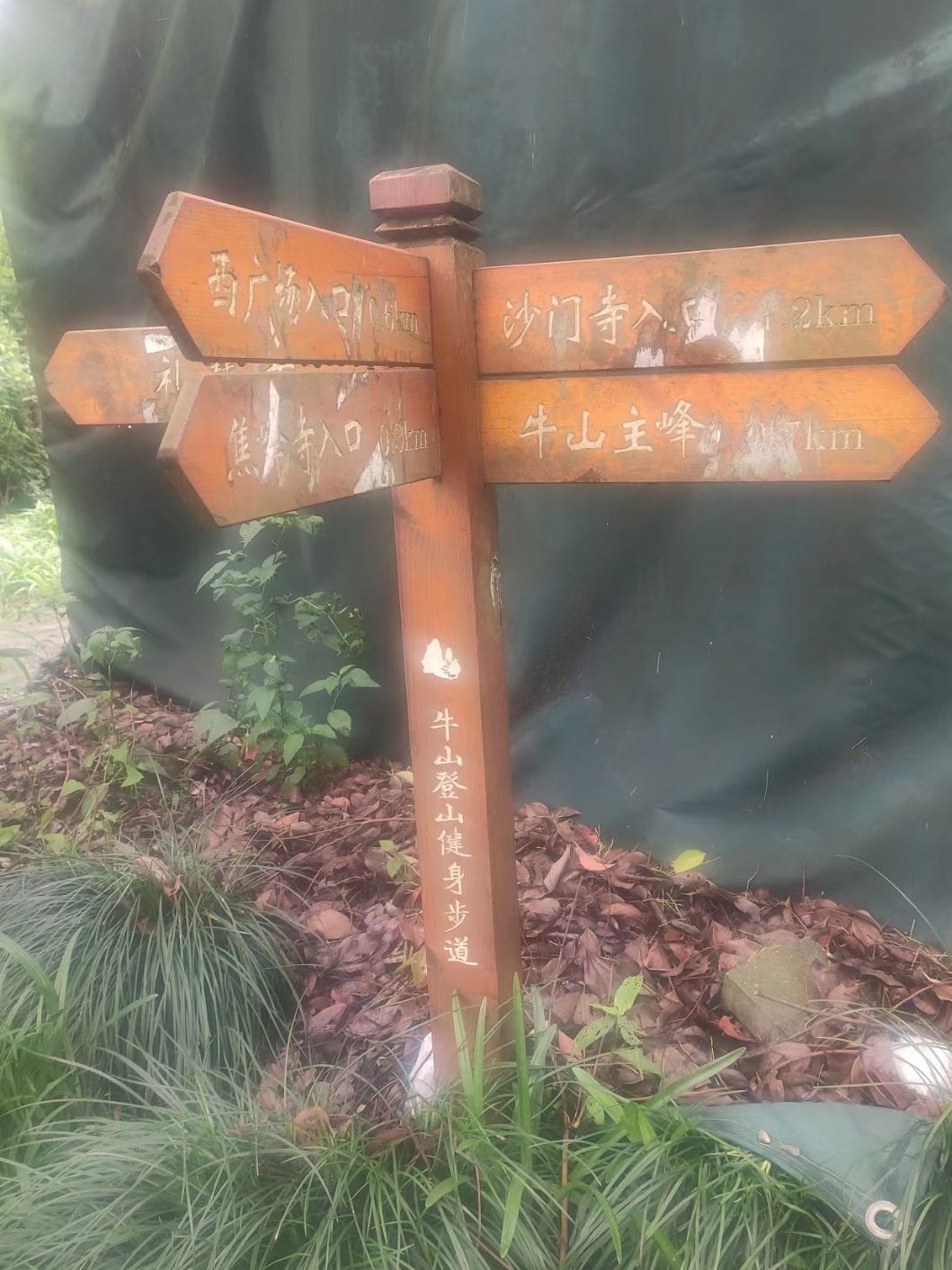 温州市牛山公园旅行图片 2
