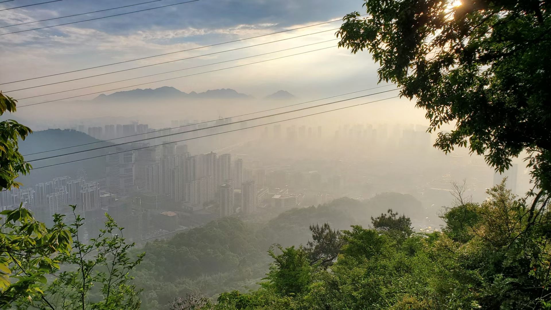 温州市牛山公园旅行图片 3