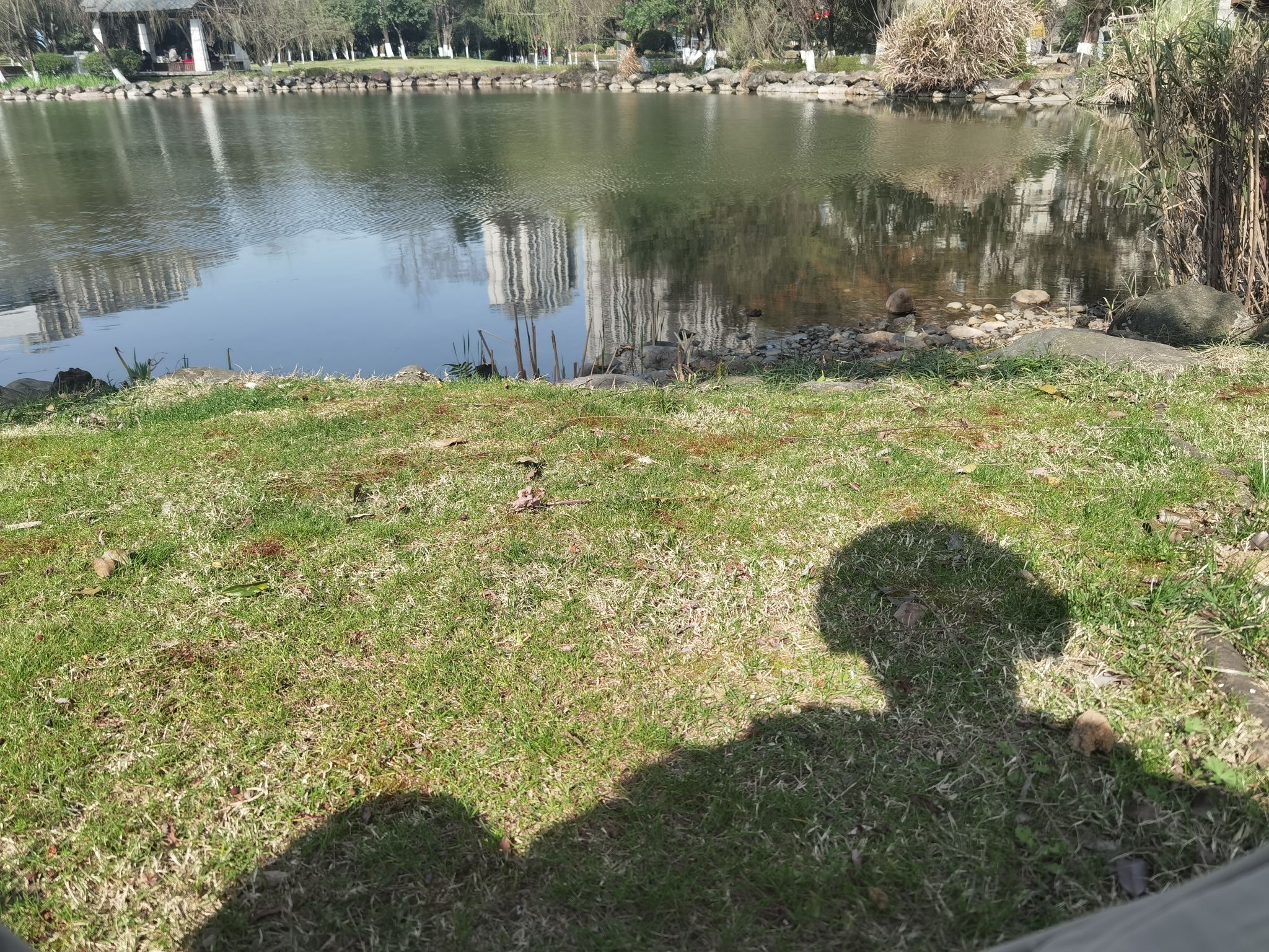 半塘园旅行图片 1