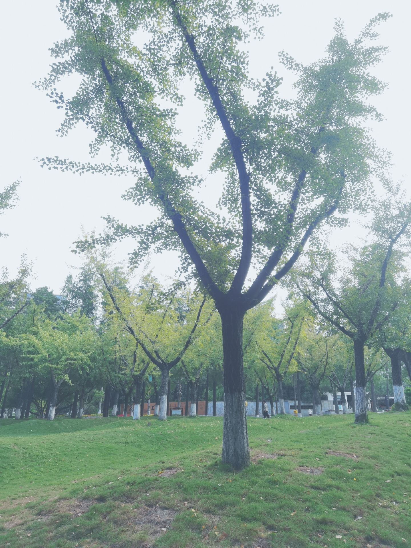 半塘园旅行图片 1