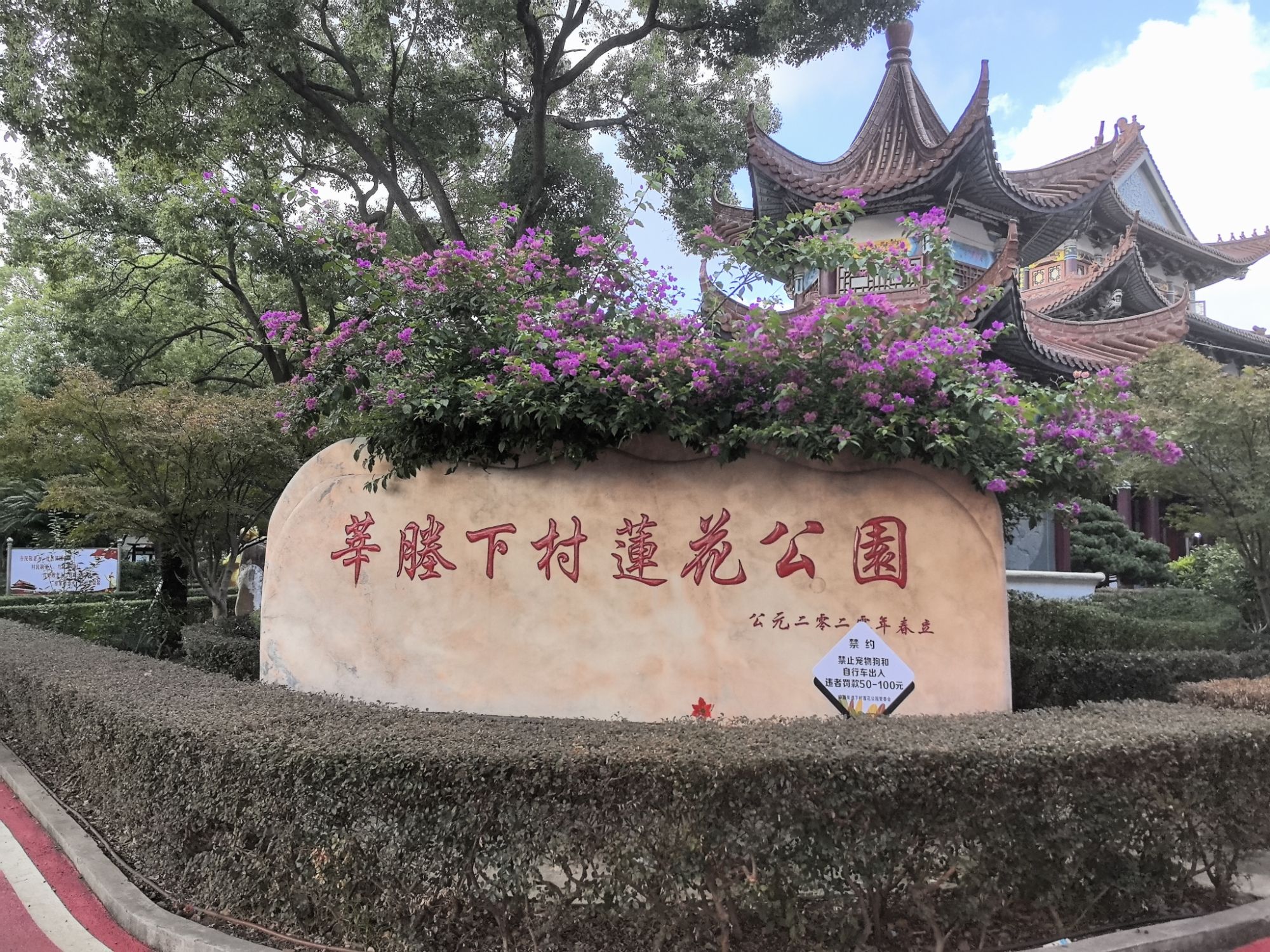 下村莲花公园旅行图片 2