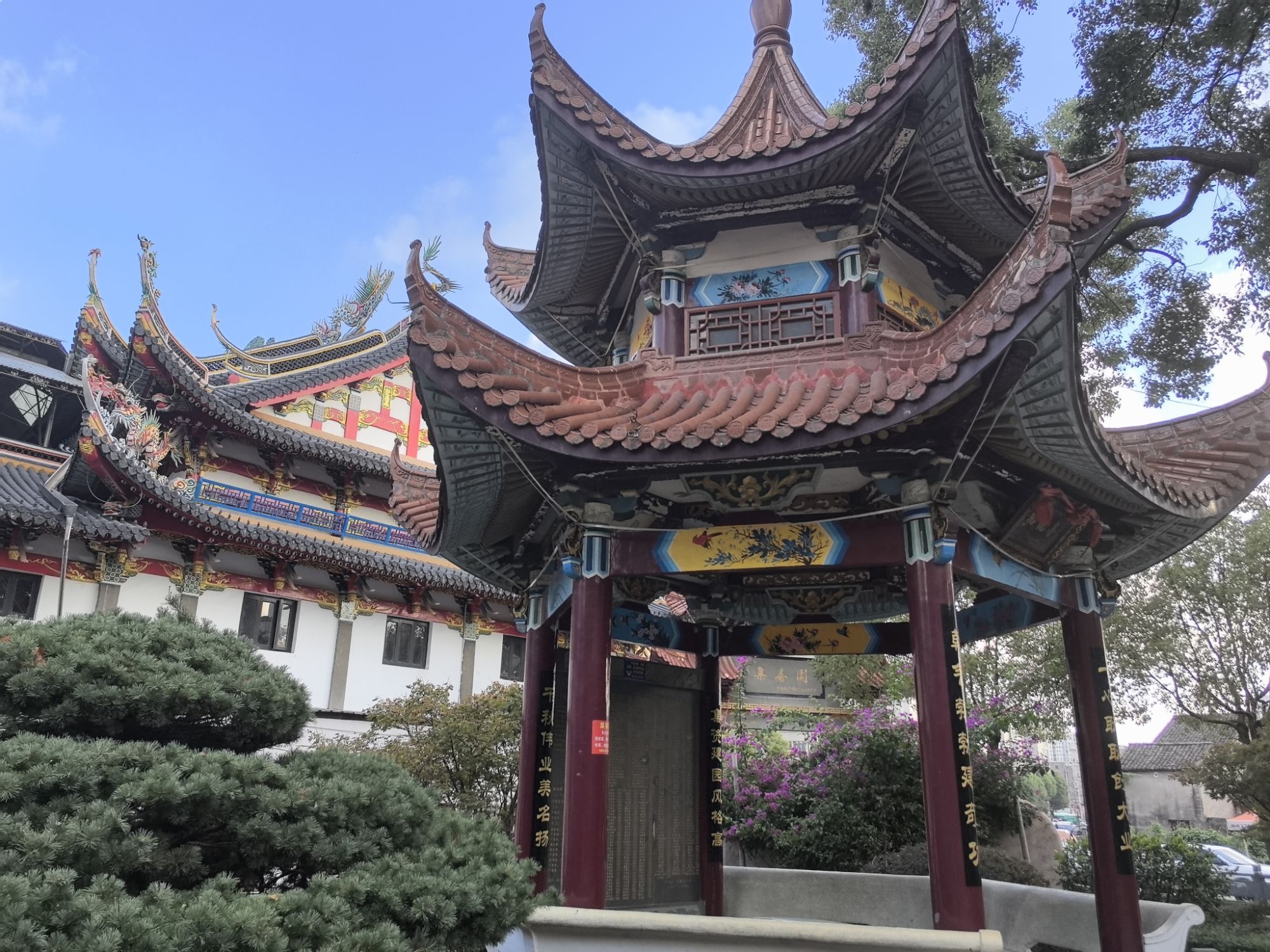 下村莲花公园旅行图片 3
