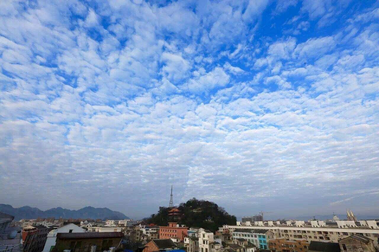 球山公园旅行图片 1