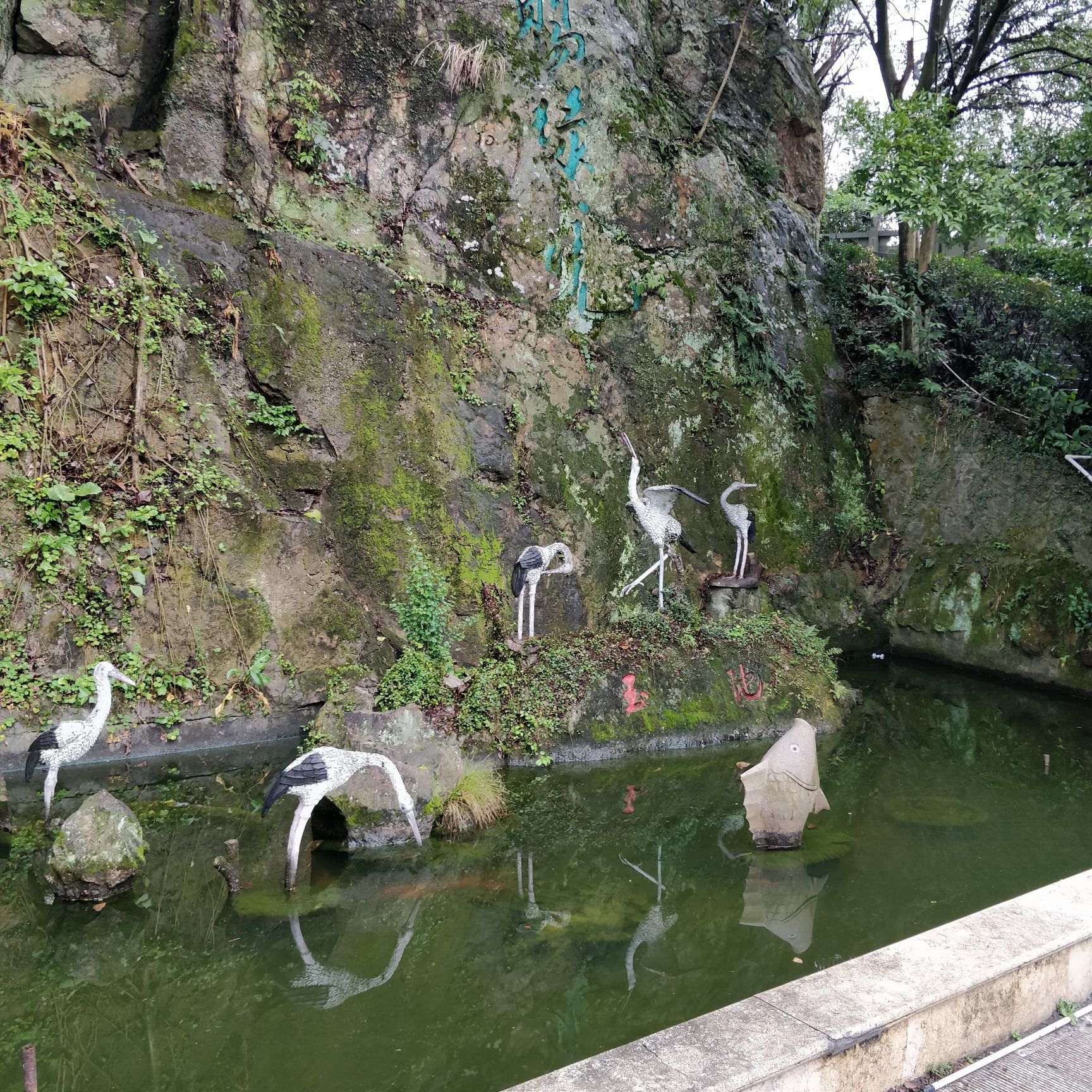 球山公园旅行图片 2