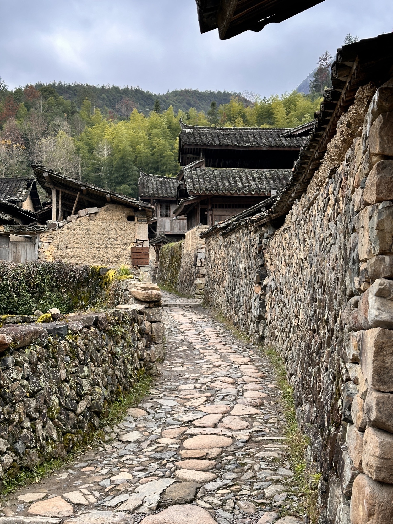 墟里·徐岙底社区旅行图片 3