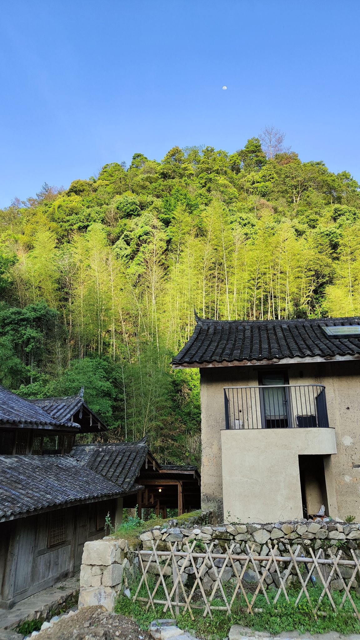 墟里·徐岙底社区旅行图片 1