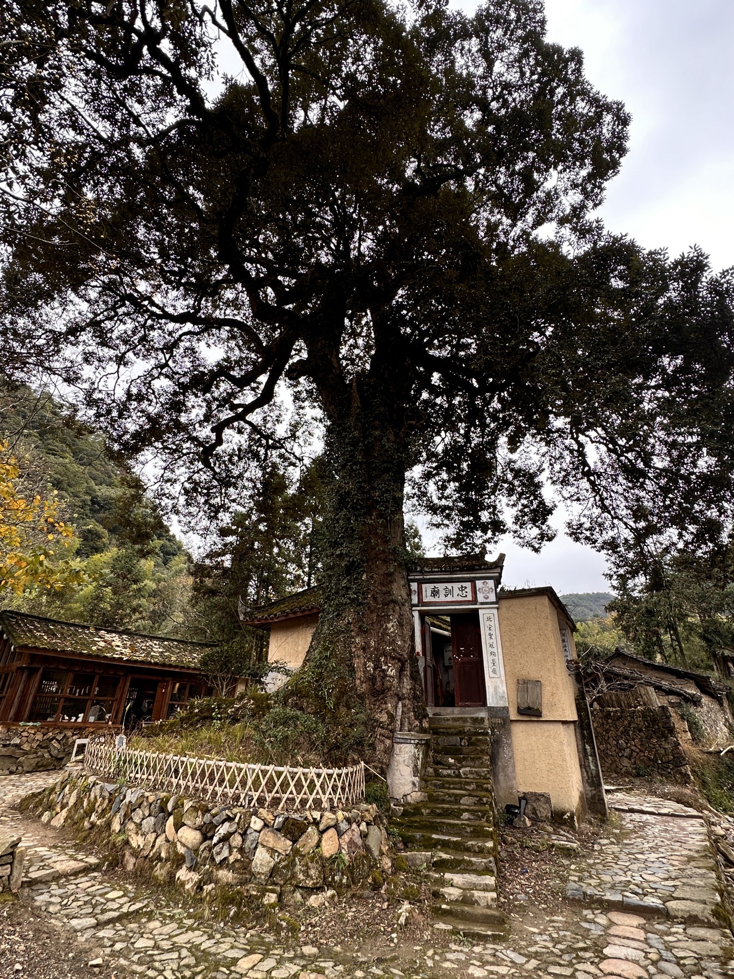墟里·徐岙底社区旅行图片 2