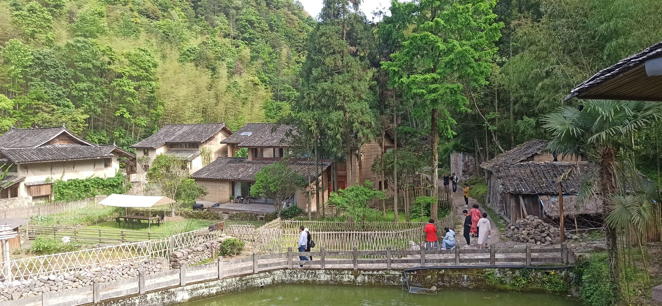 墟里·徐岙底社区旅行图片 3
