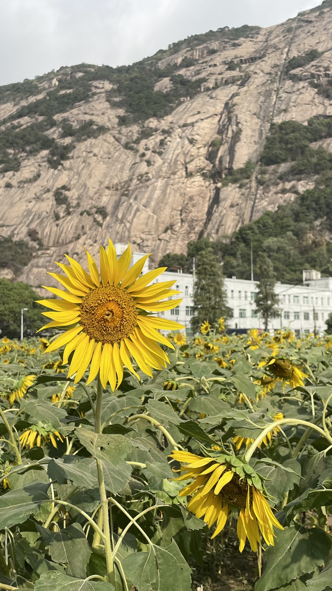 天柱风景区旅行图片 1