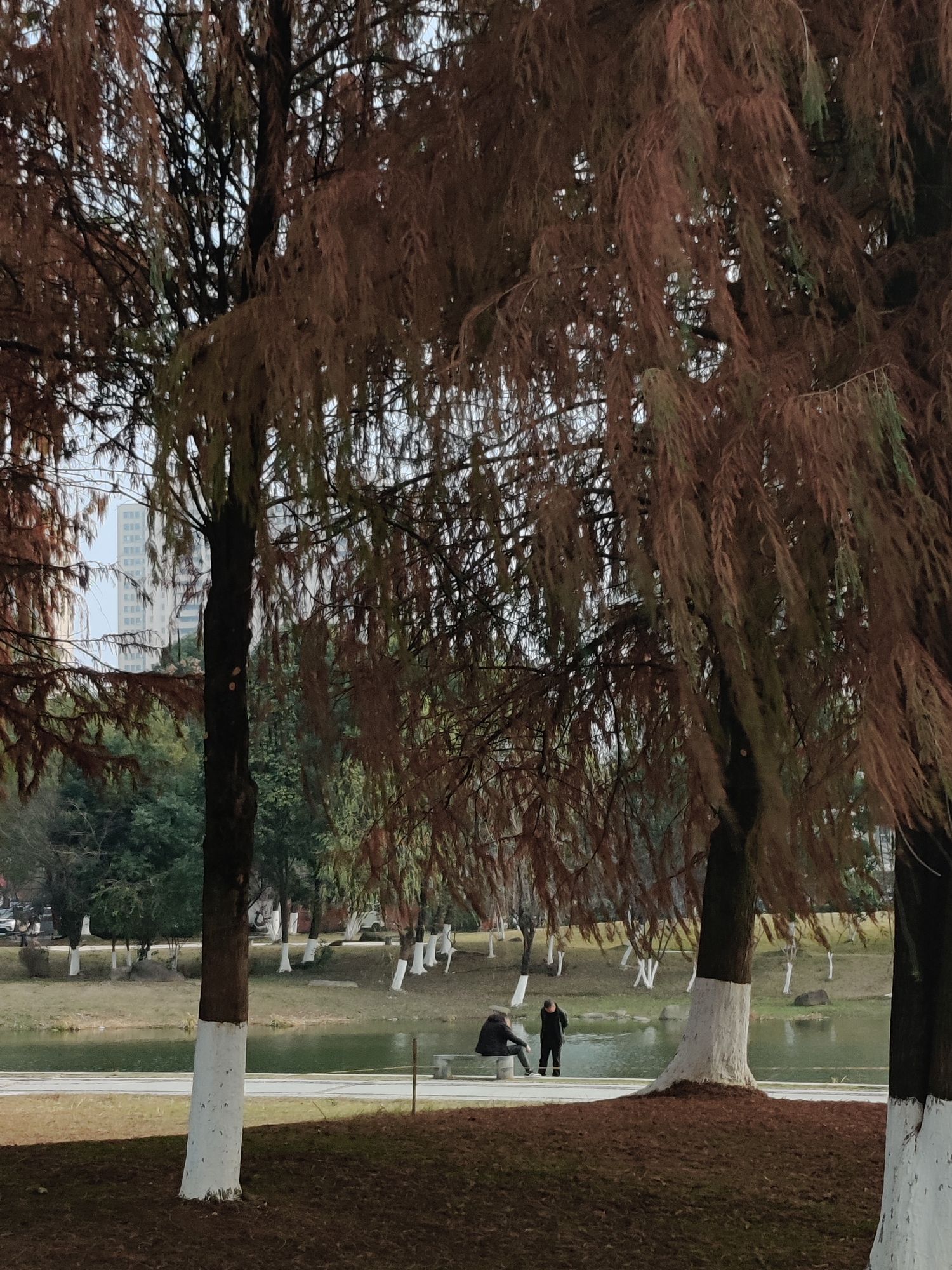 水景公园旅行图片 1