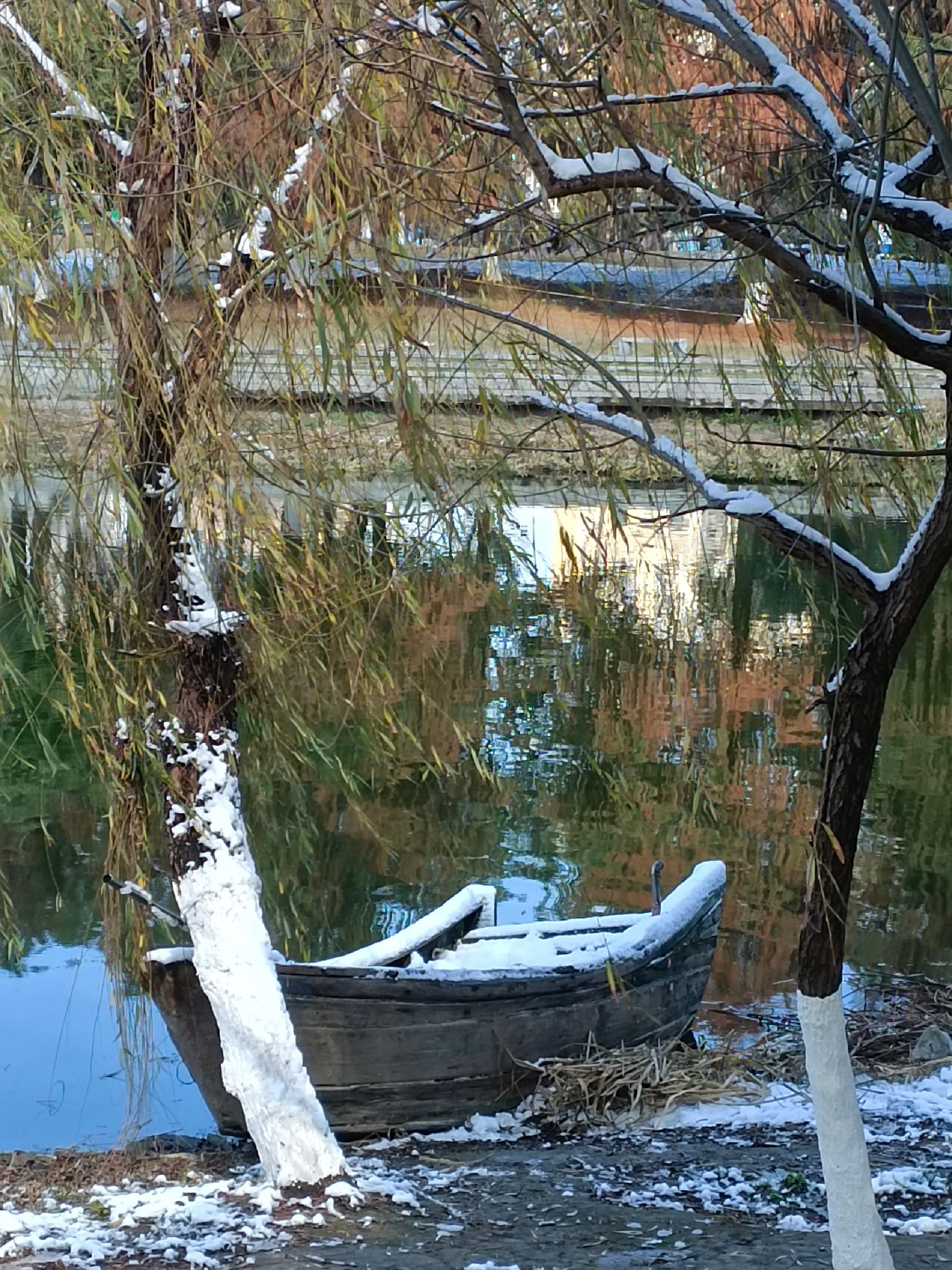 水景公园旅行图片 1