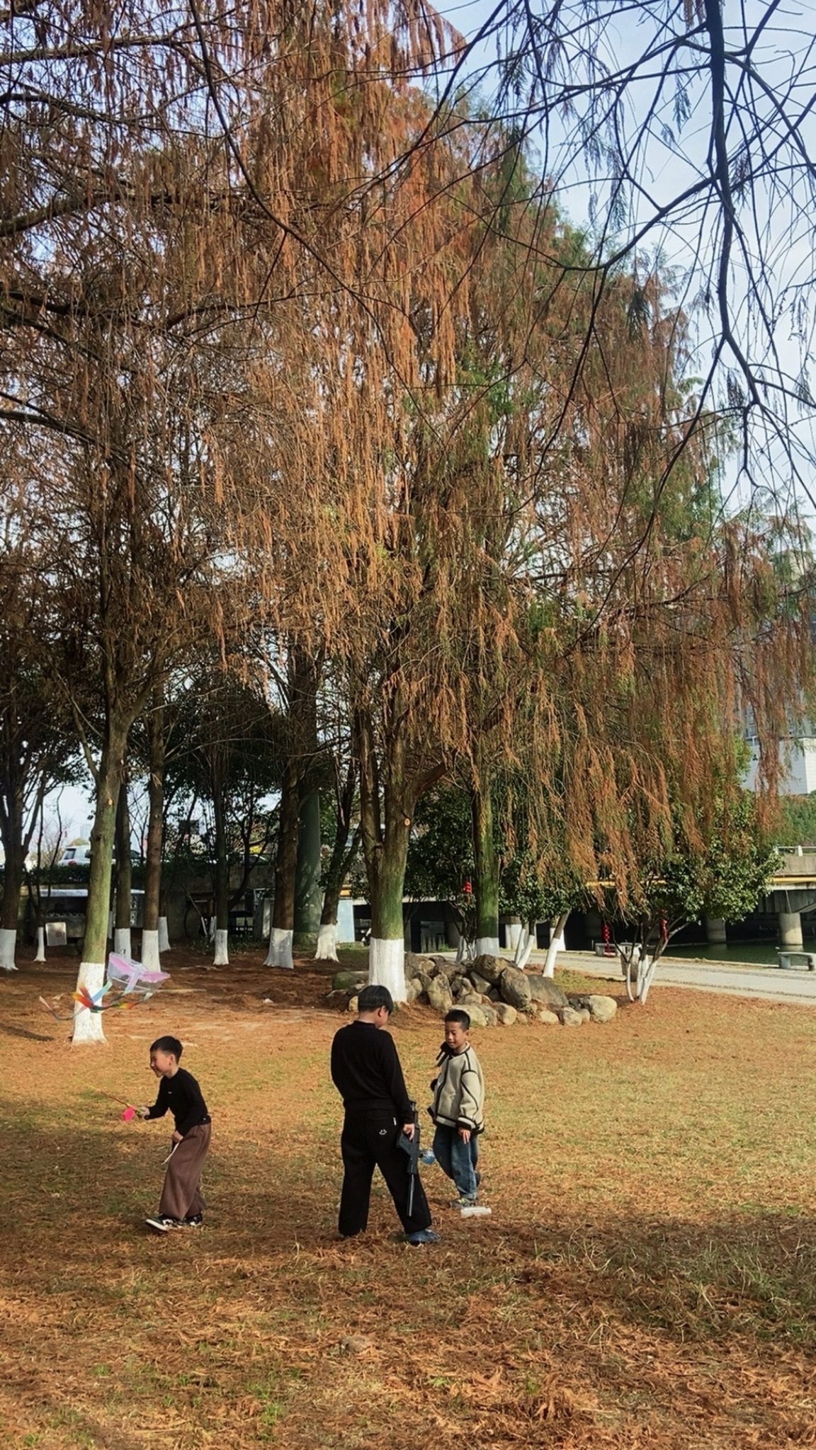 水景公园旅行图片 1