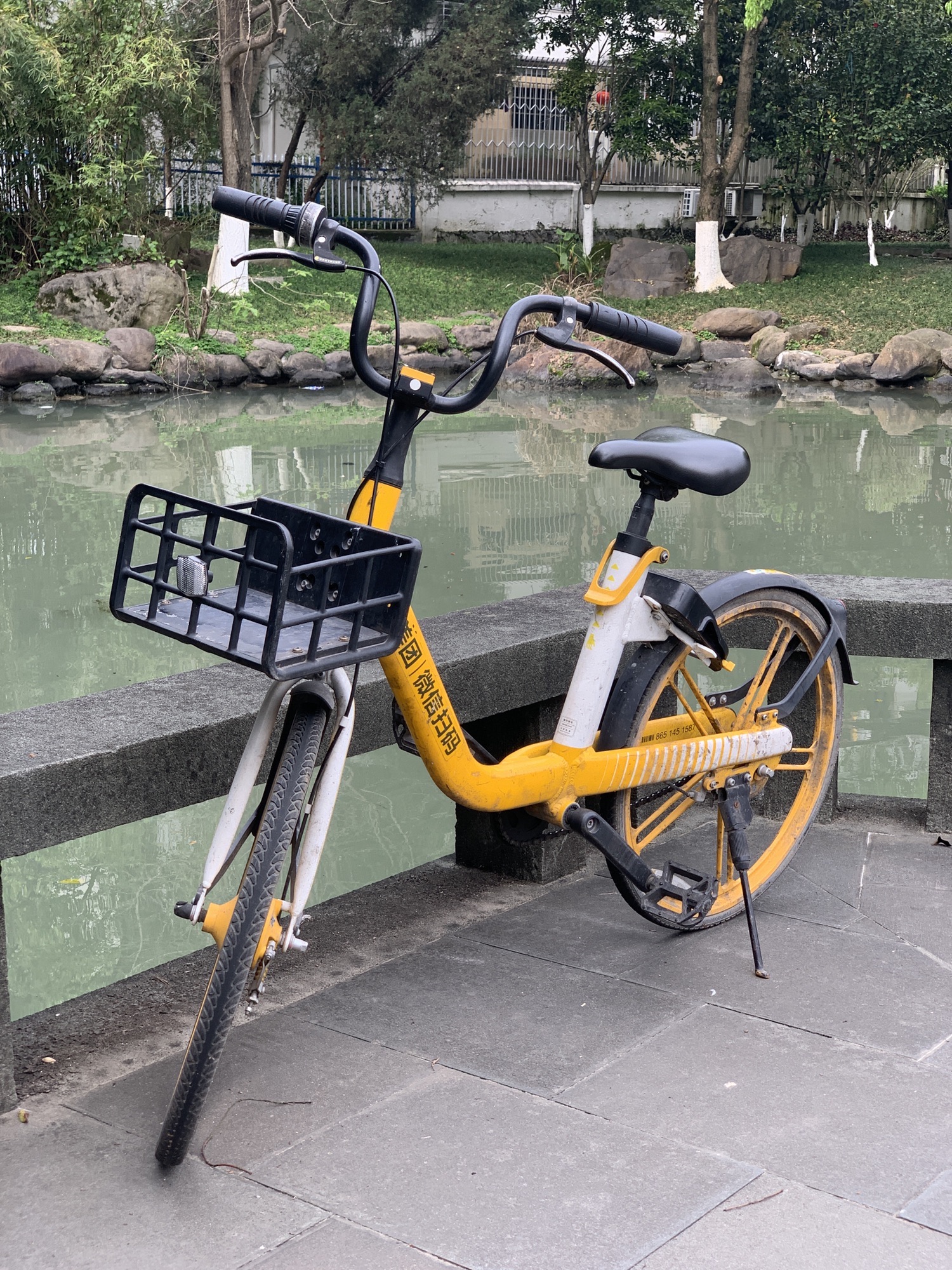 吕浦公园旅行图片 3