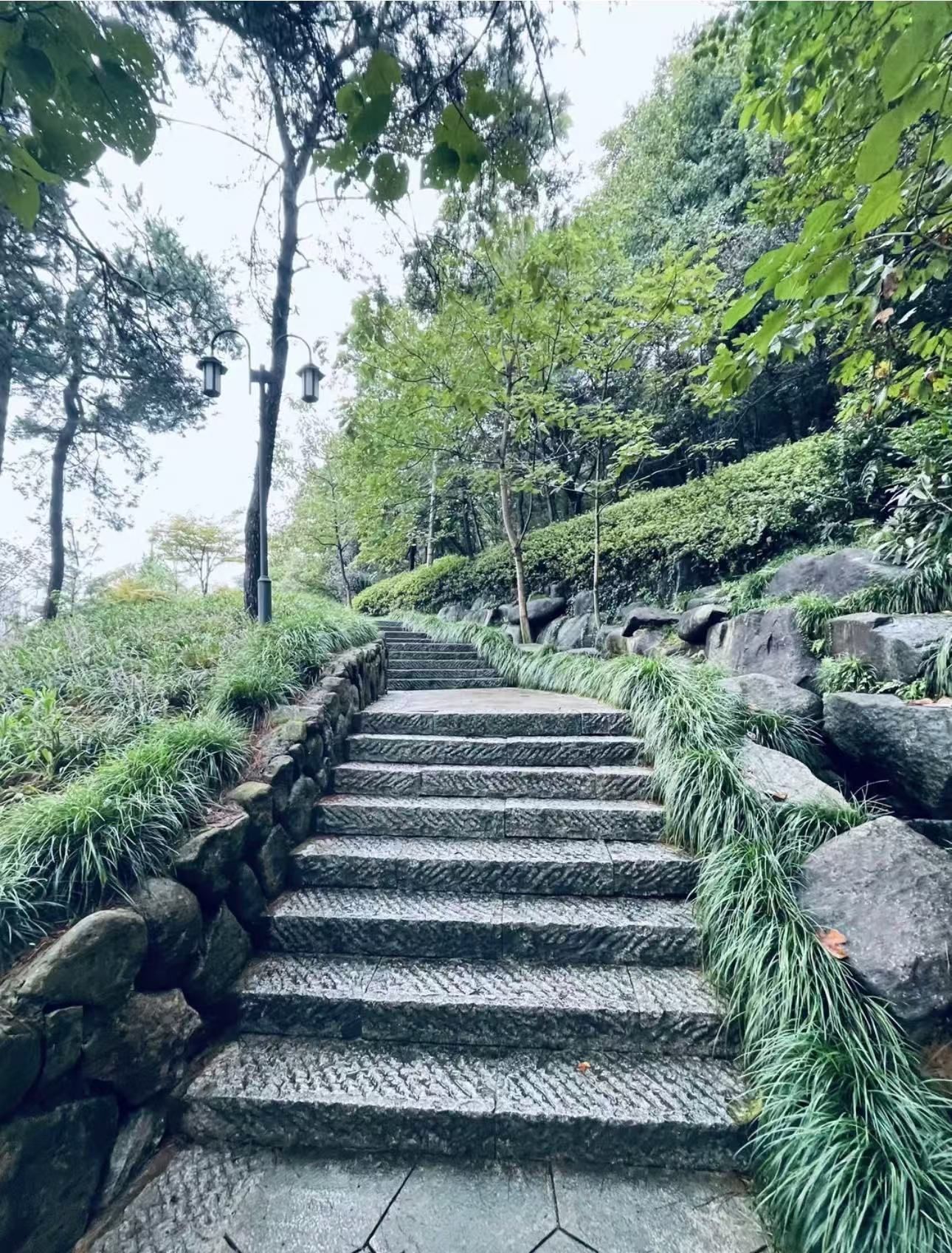 凤凰山公园旅行图片 3