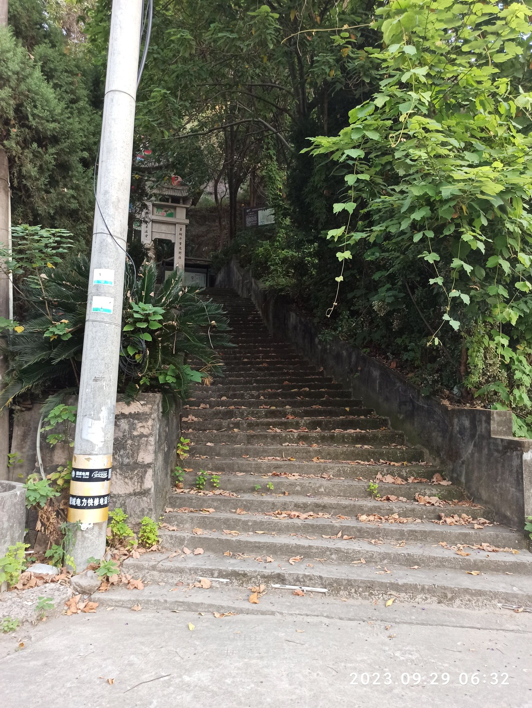 凤凰山休闲乐园旅行图片 1
