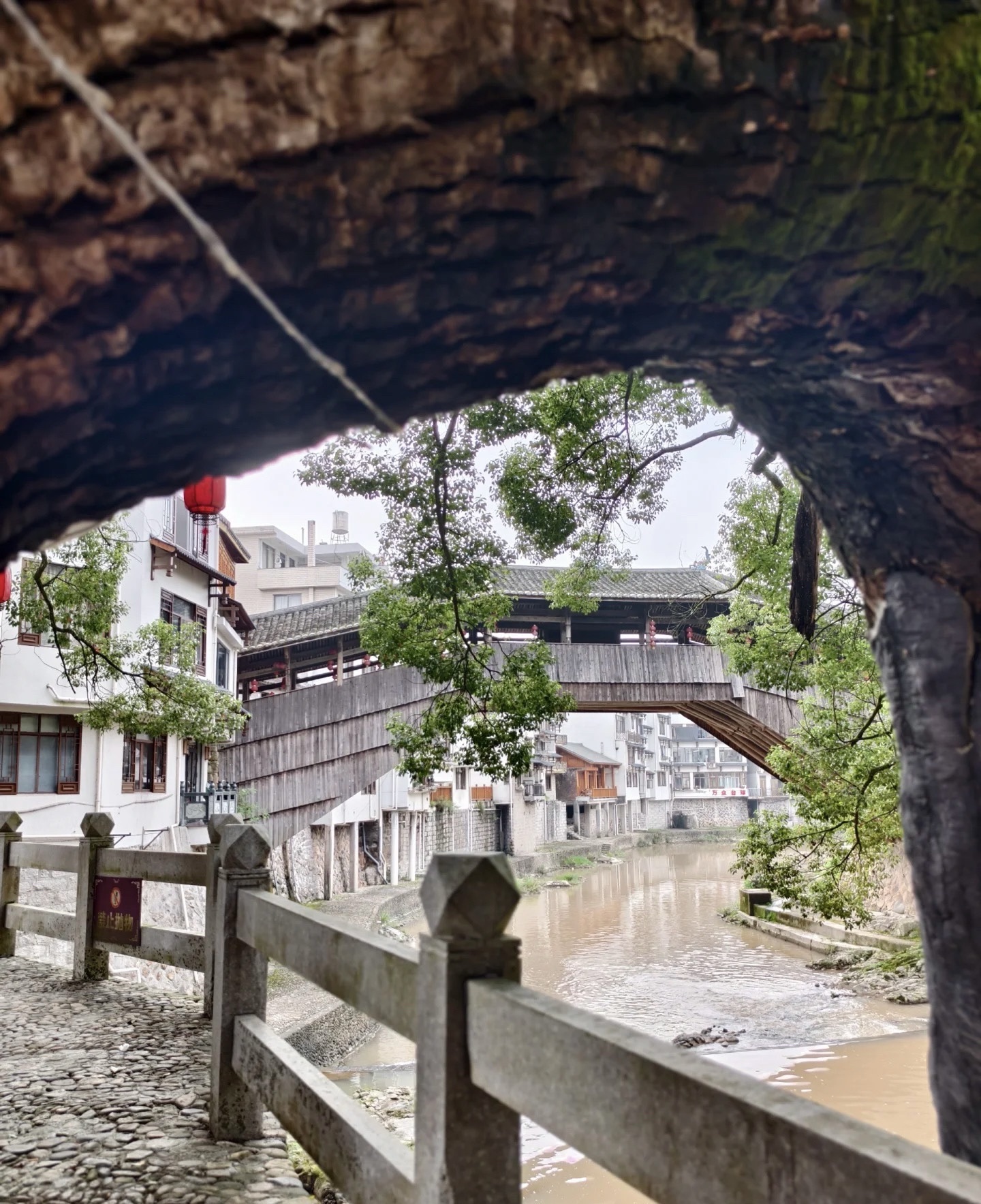 薛宅桥旅行图片 3