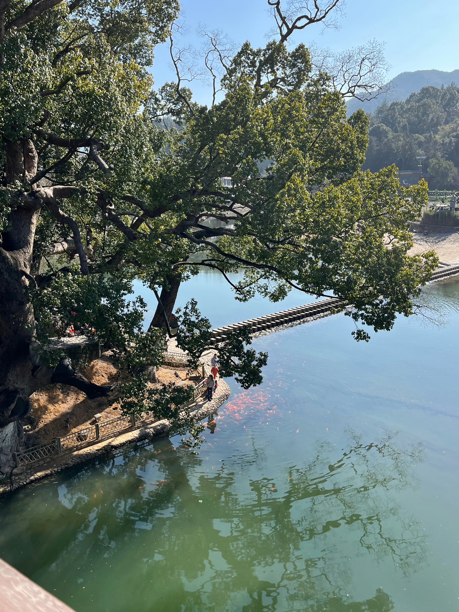 泗溪廊桥风景区旅行图片 3