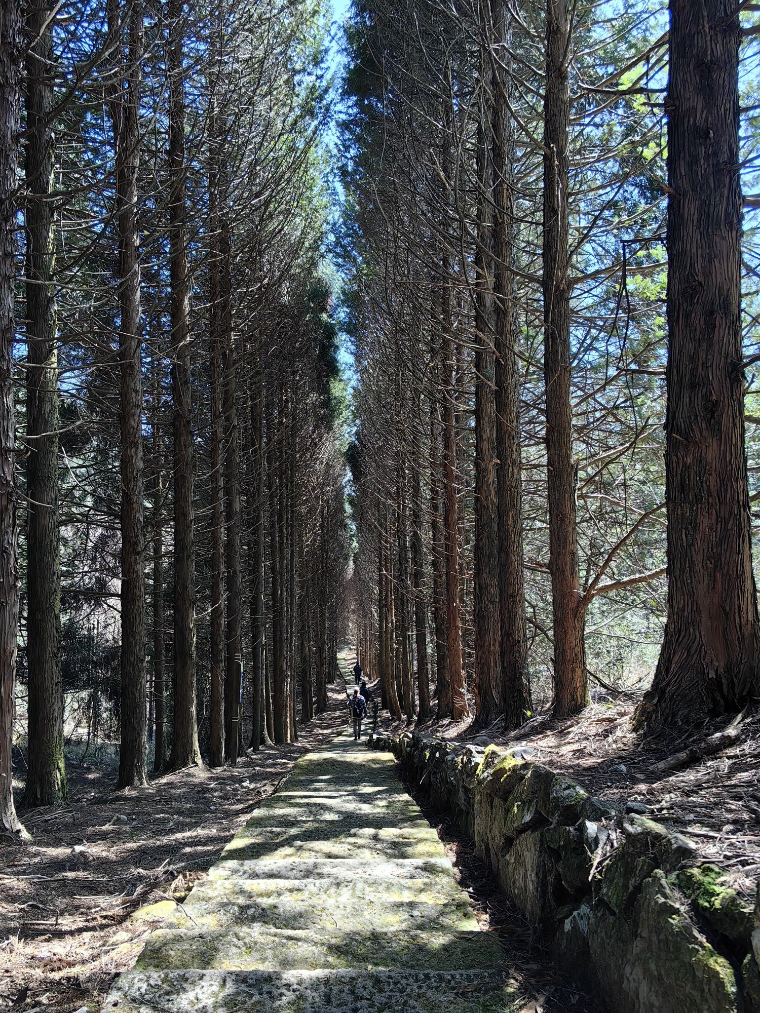 龙泉山景区旅行图片 3
