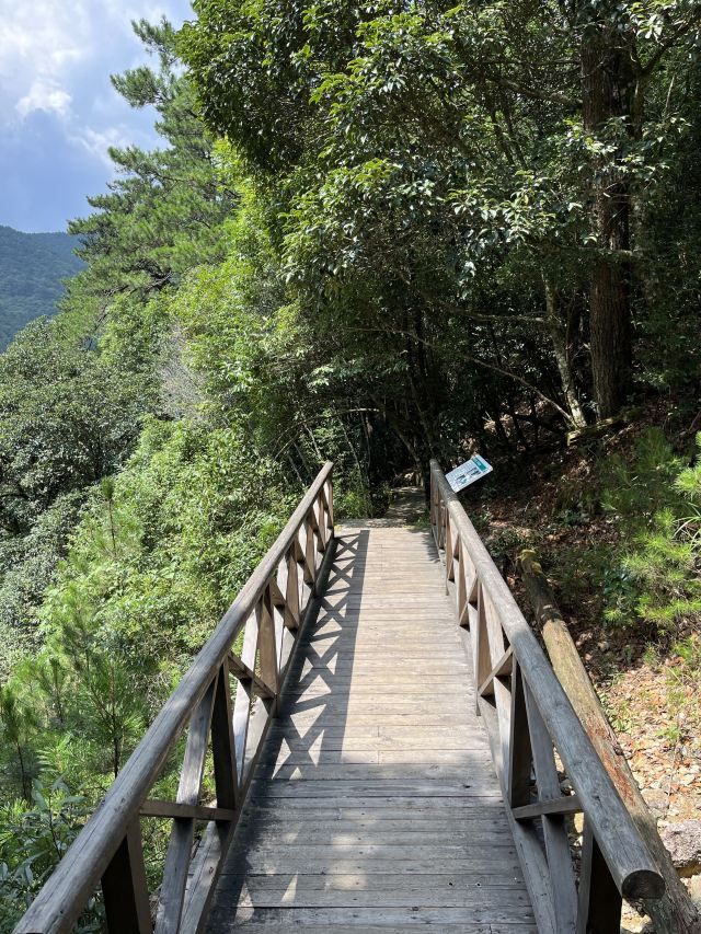 龙泉山景区旅行图片 3
