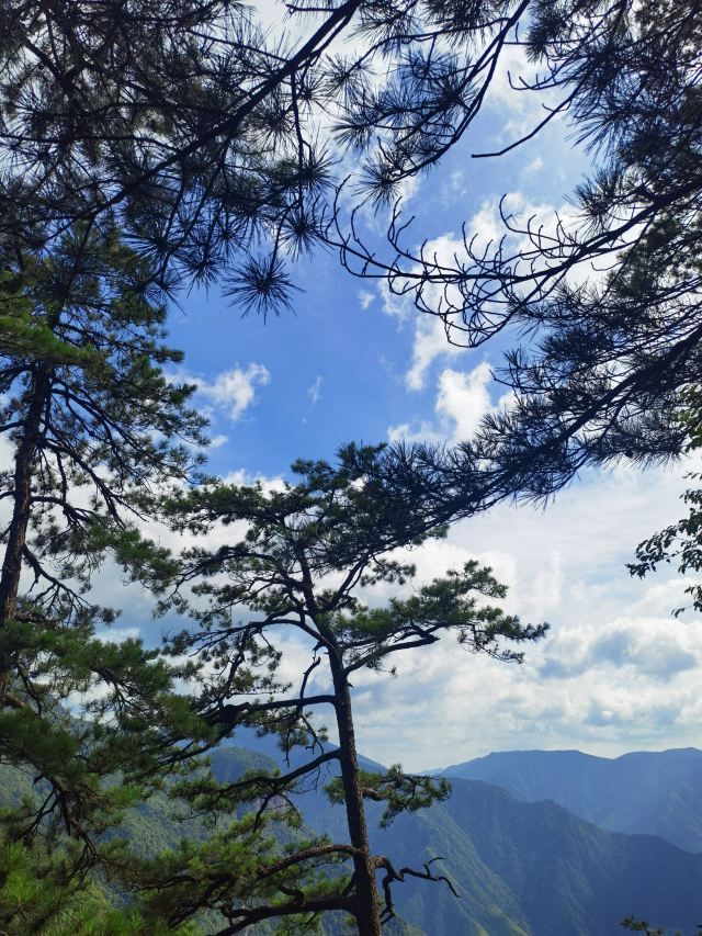 龙泉山景区旅行图片