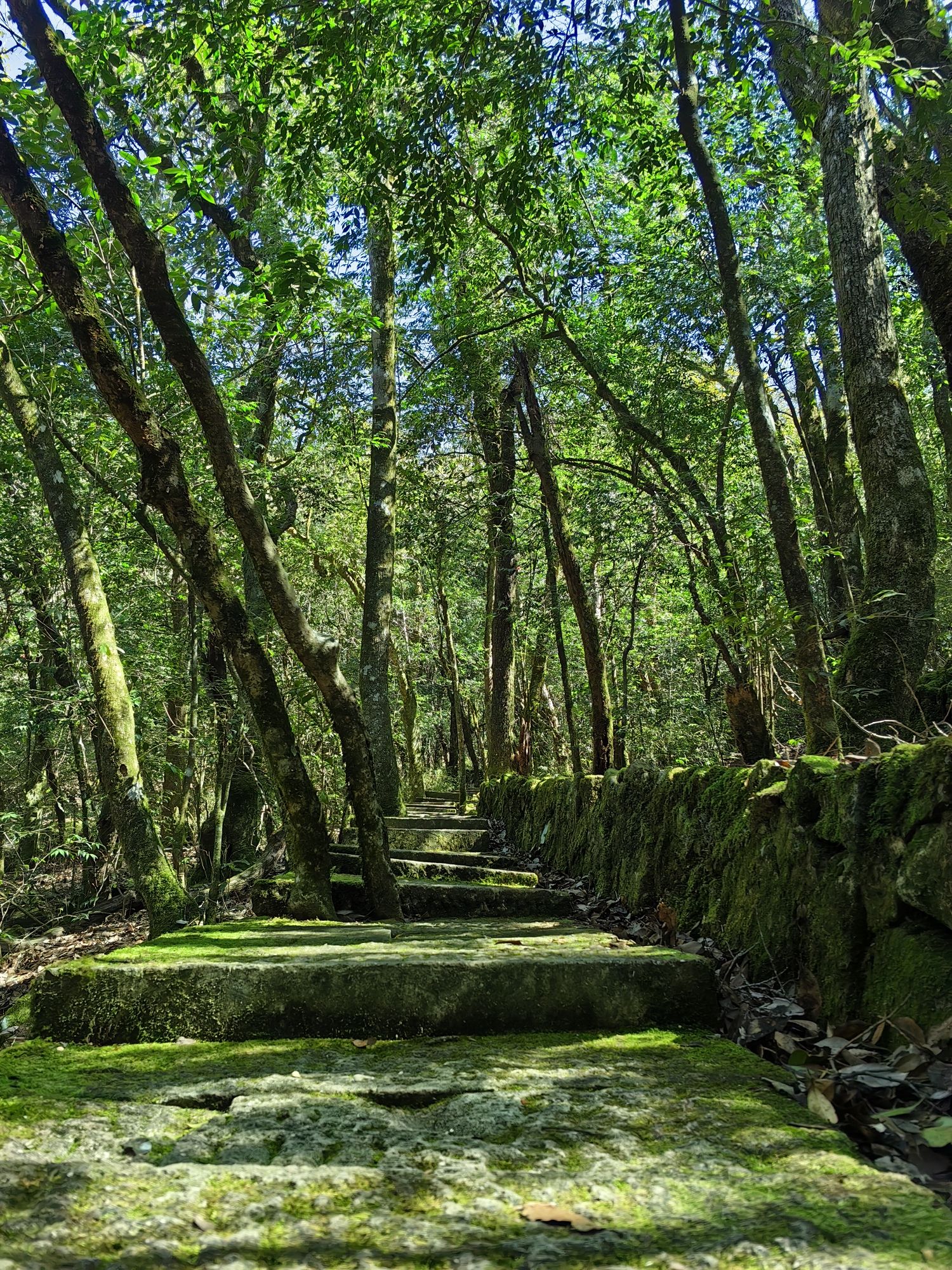 龙泉山景区旅行图片 2