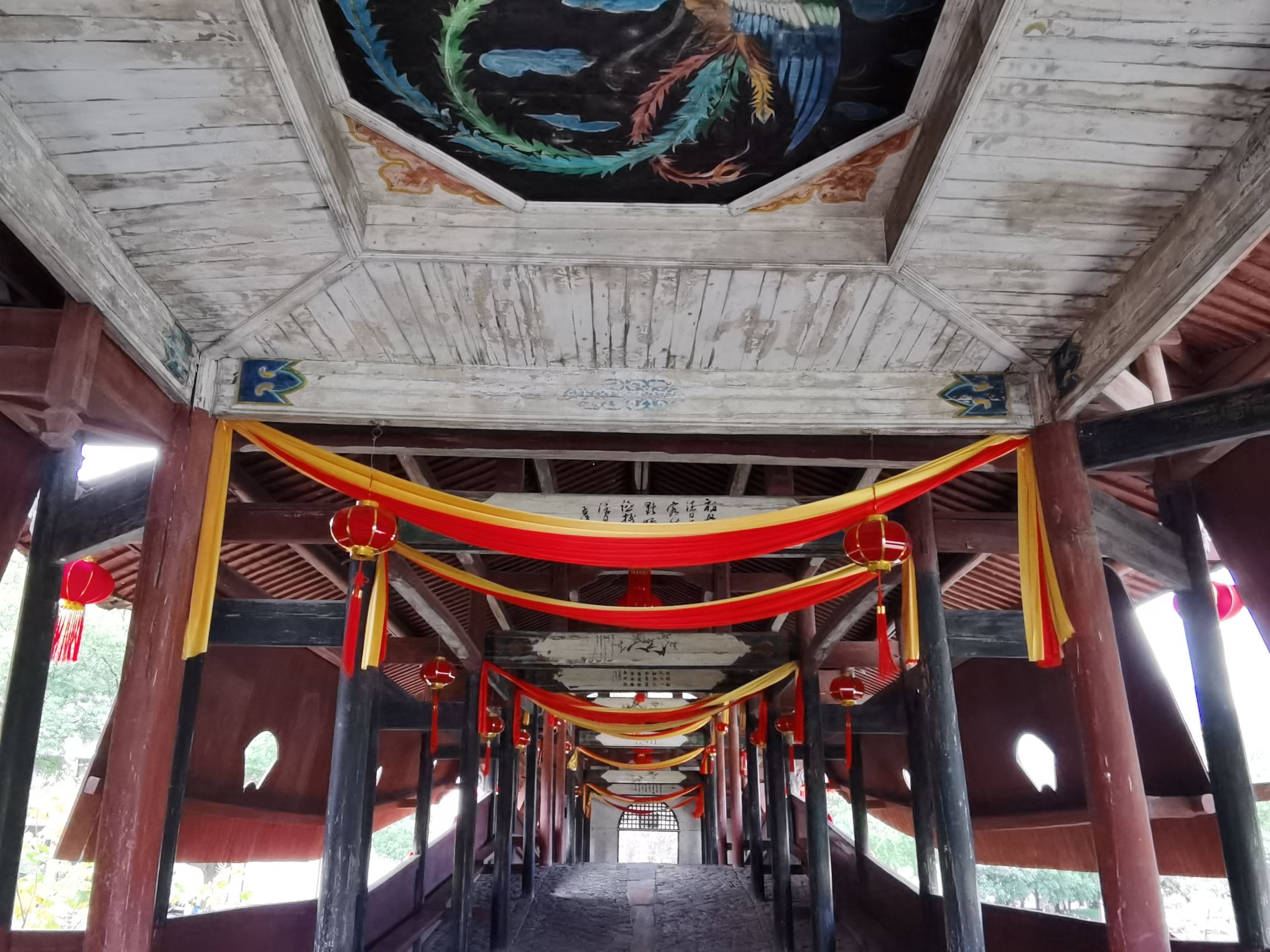 生态公园旅行图片 1