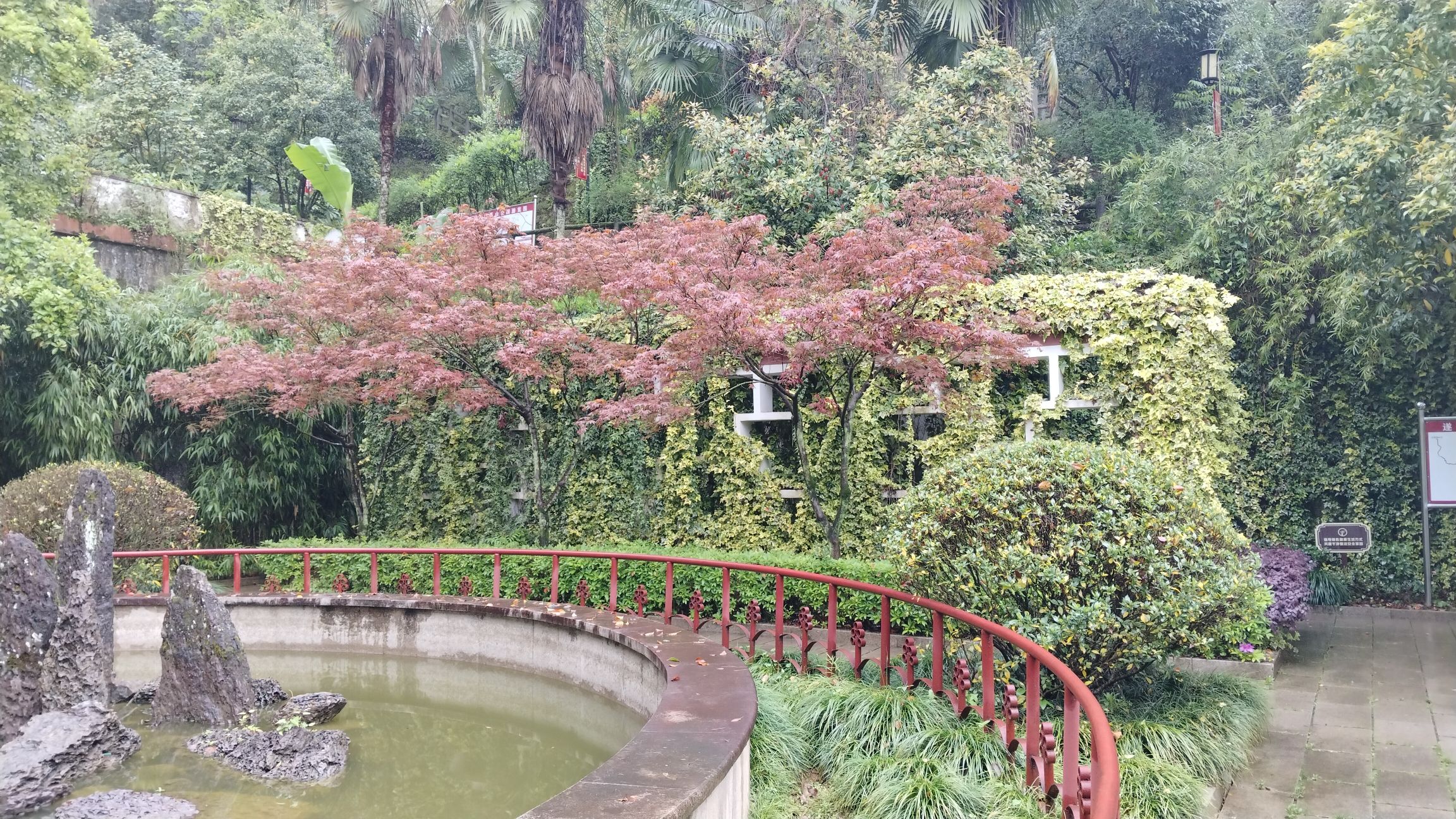 妙高山公园旅行图片 3