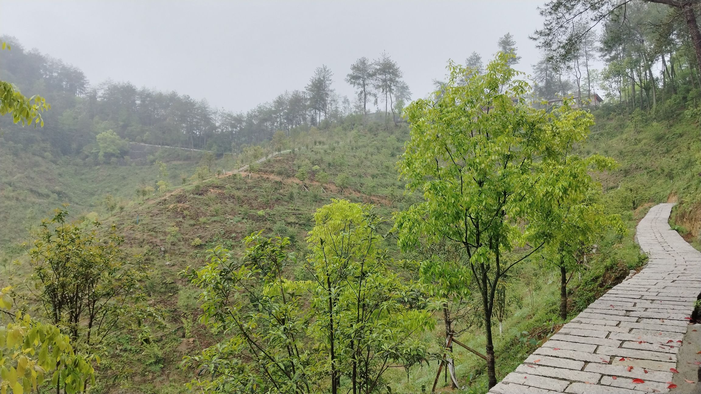 妙高山公园