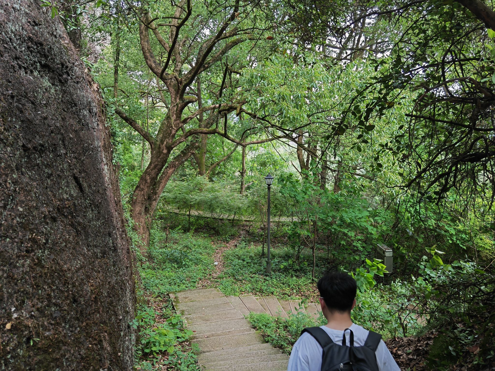 东西岩风景区旅行图片 2
