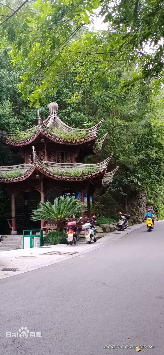 丽水白云国家森林公园旅行图片 3